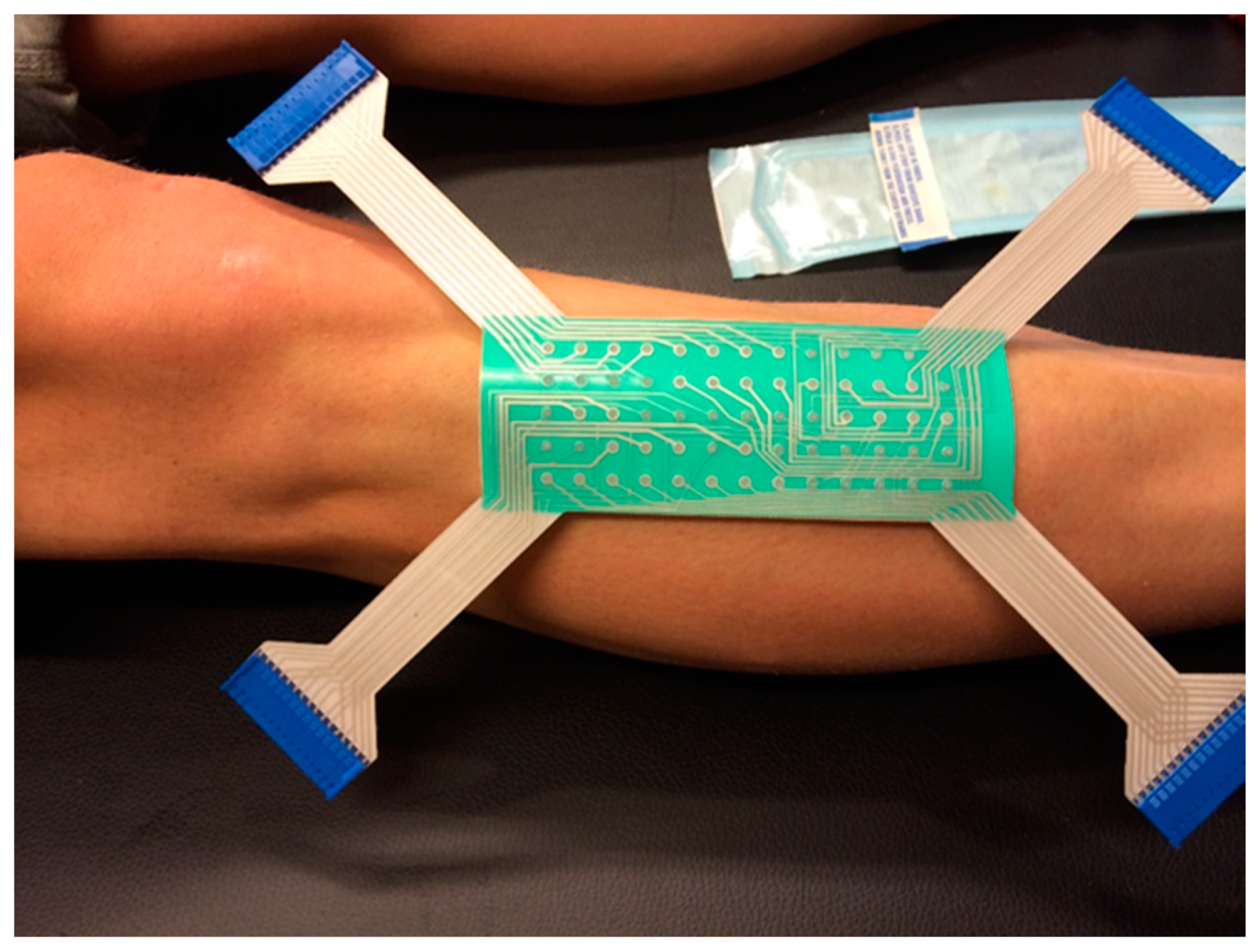 Brainsci 11 00105 g003