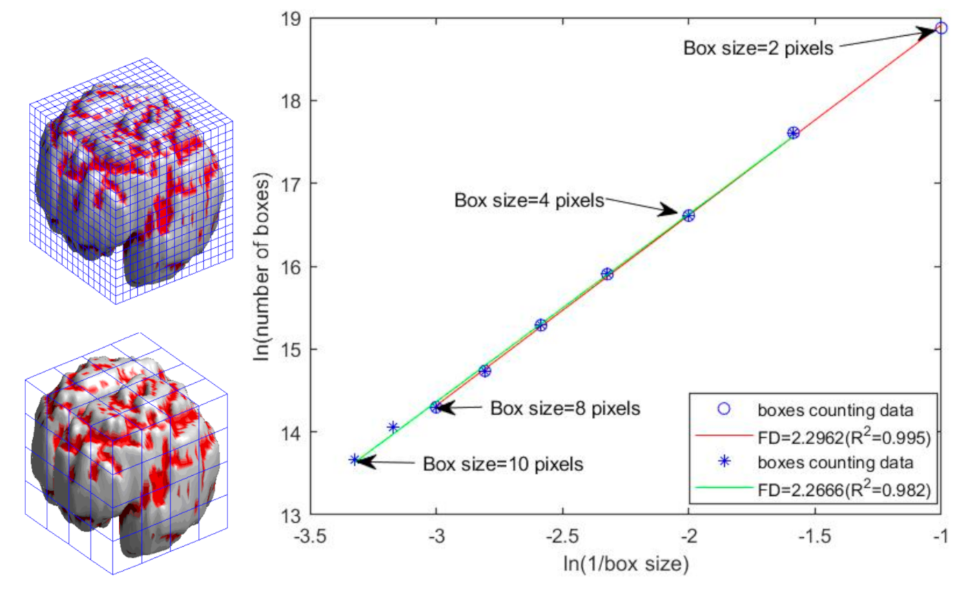 Brainsci 11 00107 g002