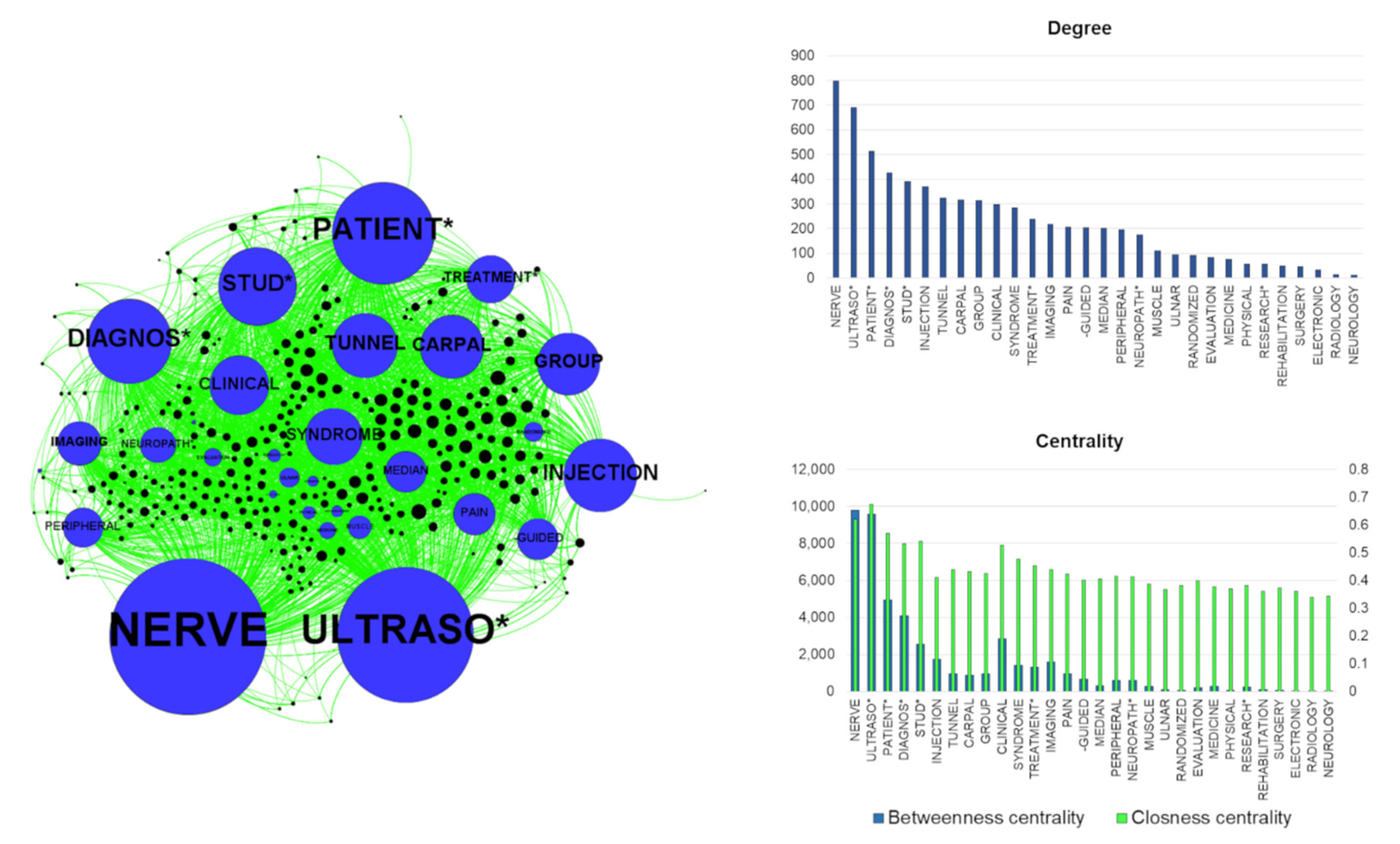 Brainsci 11 00113 g003
