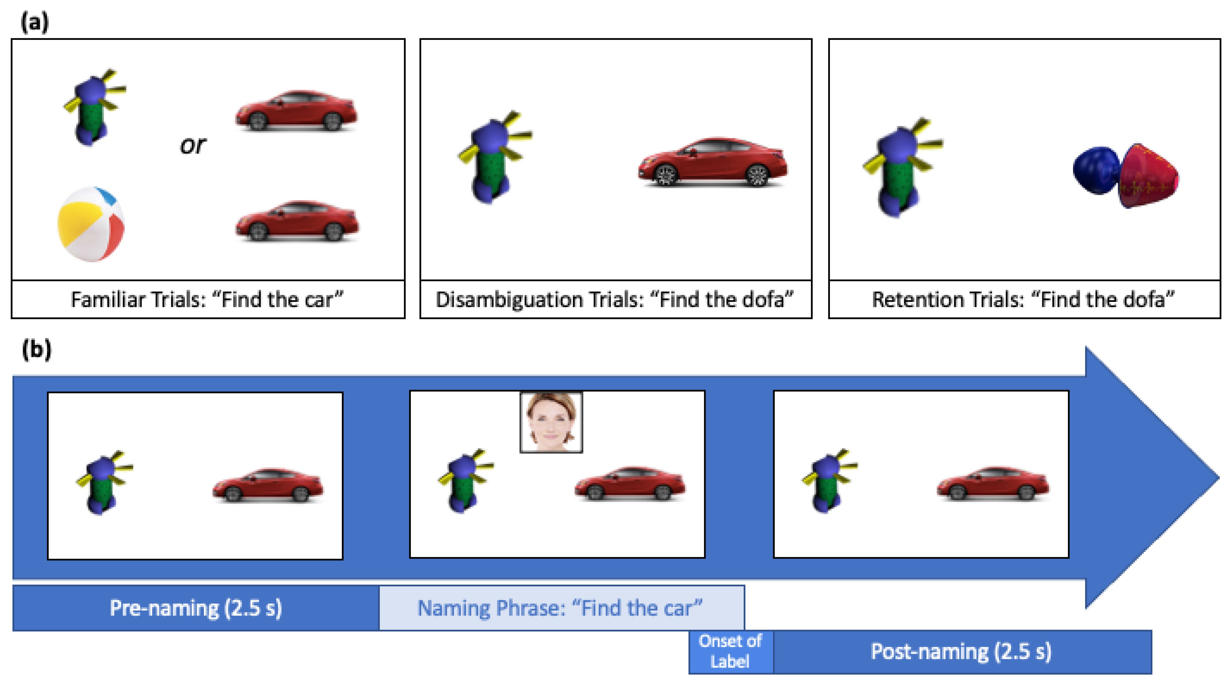 Brainsci 11 00114 g001