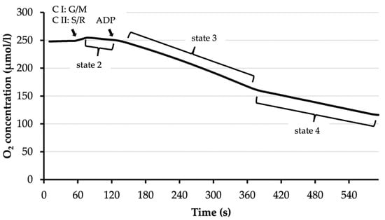 Brainsci 11 00122 g0a2