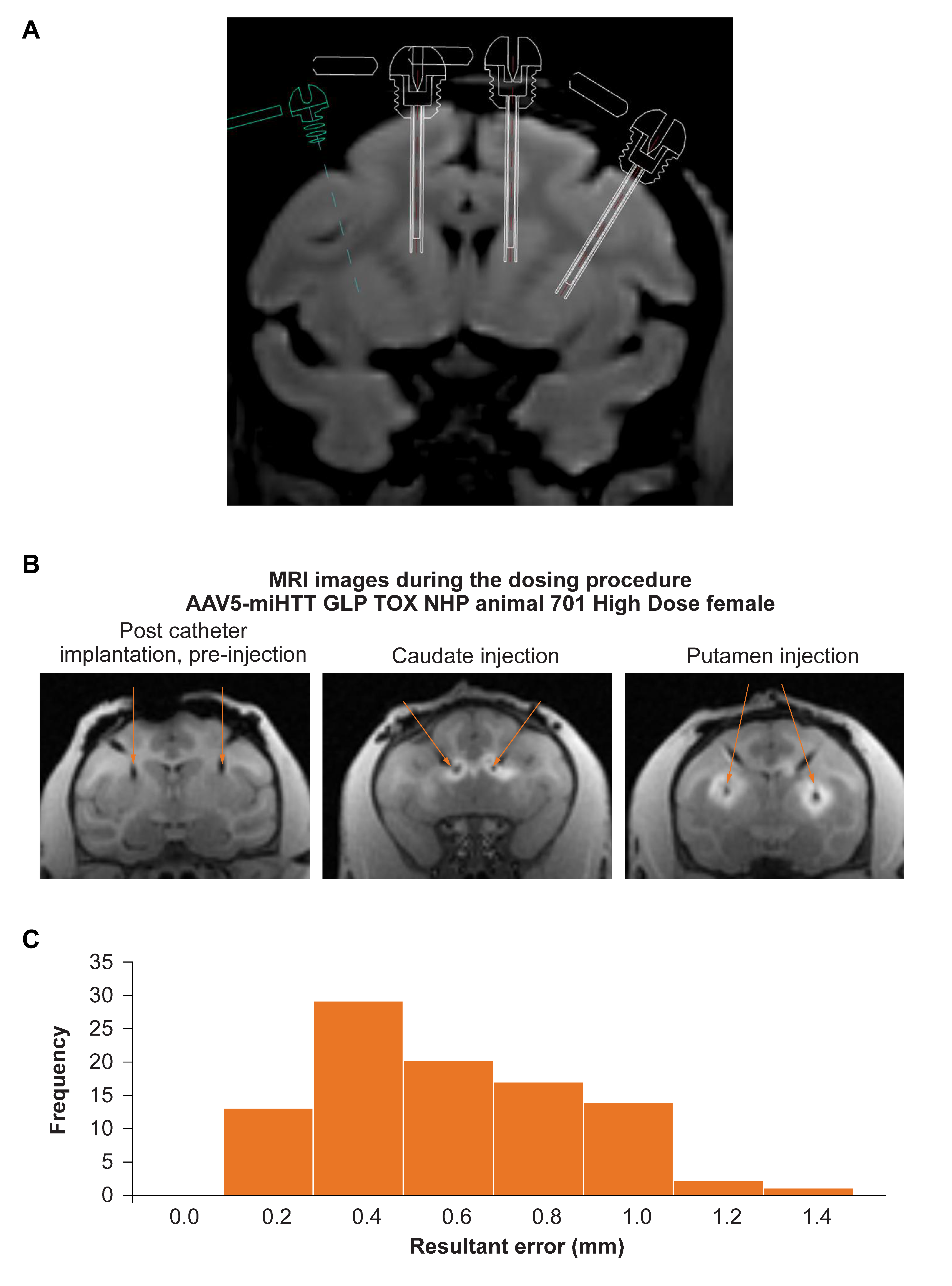 Brainsci 11 00129 g001
