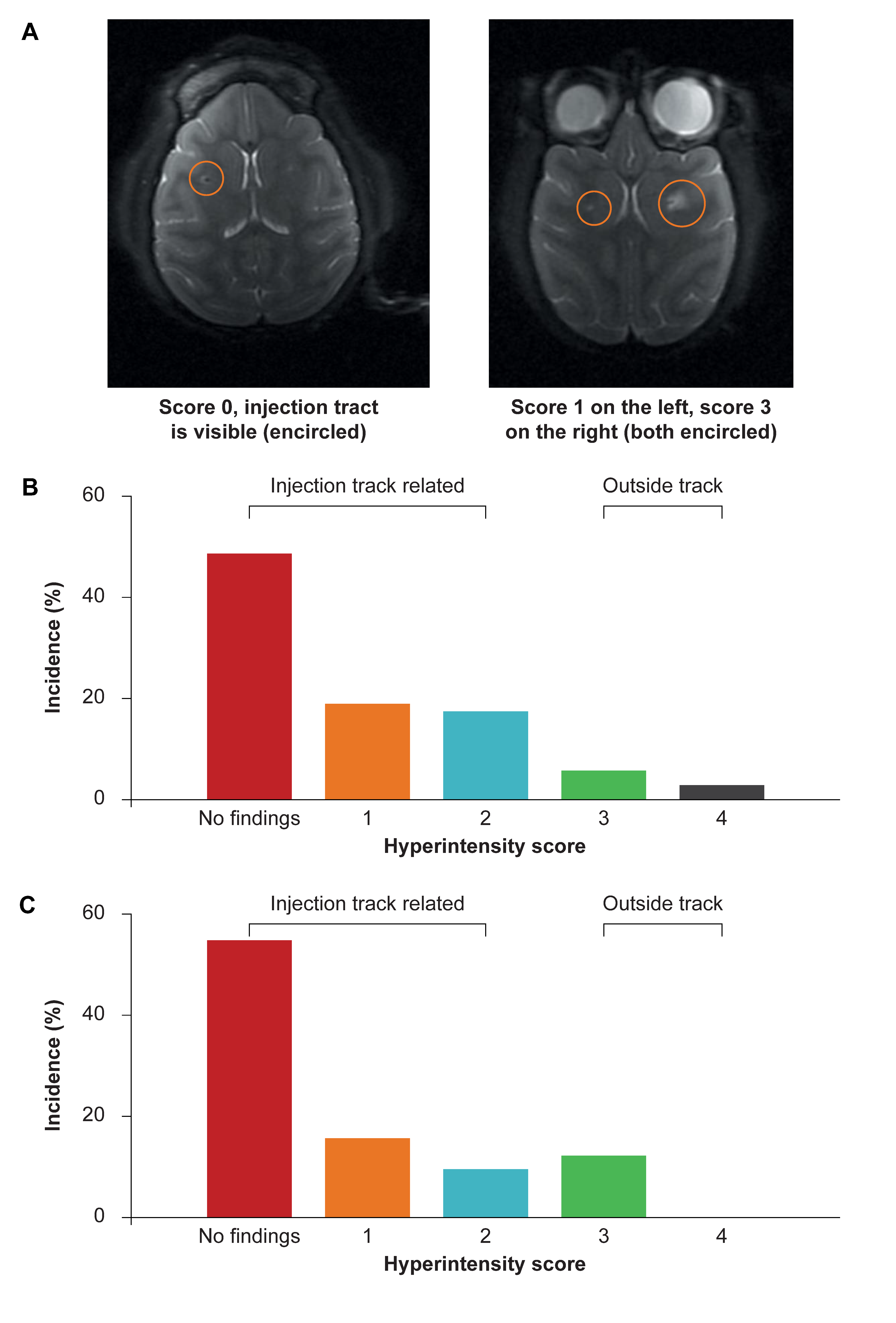 Brainsci 11 00129 g002