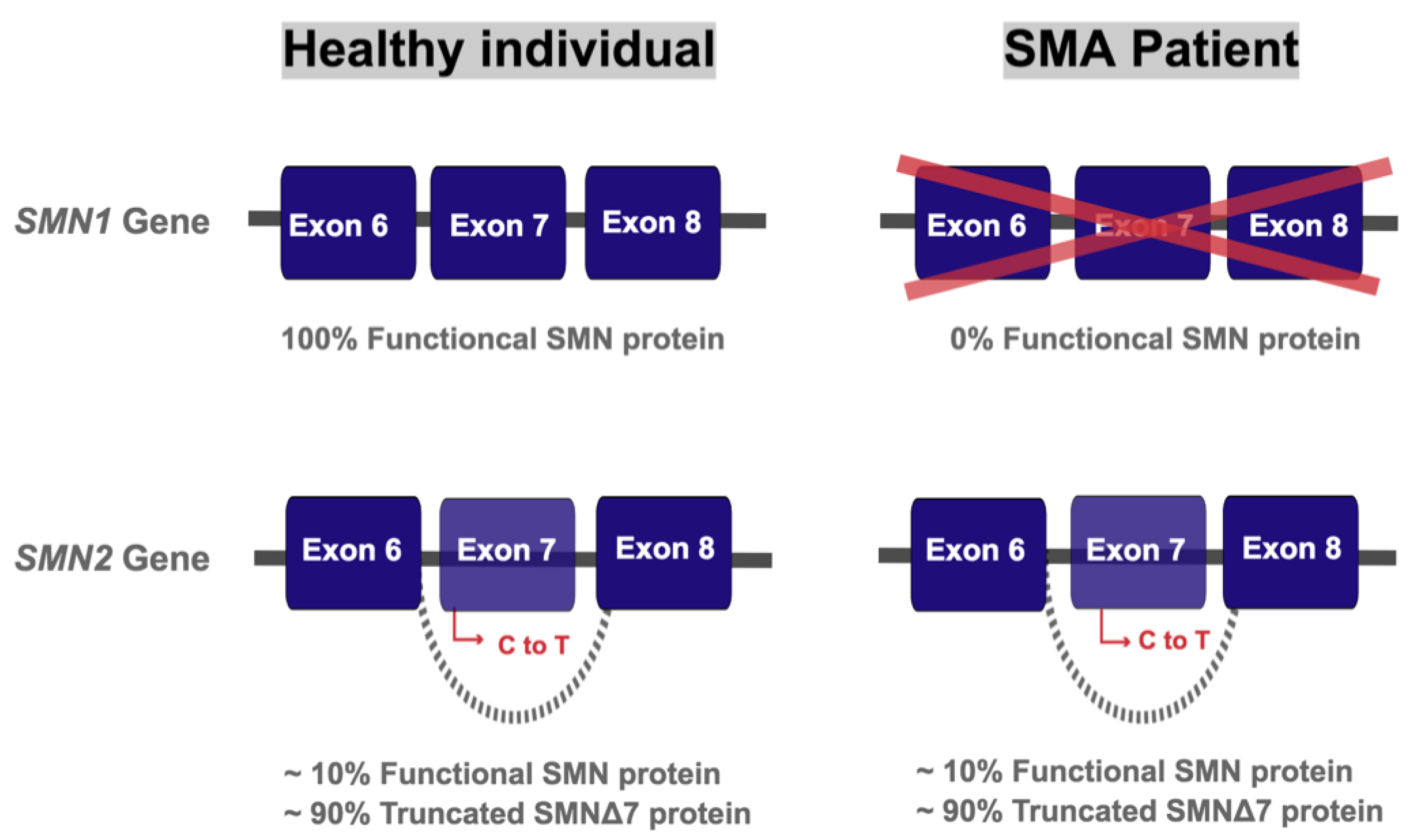 Brainsci 11 00131 g001