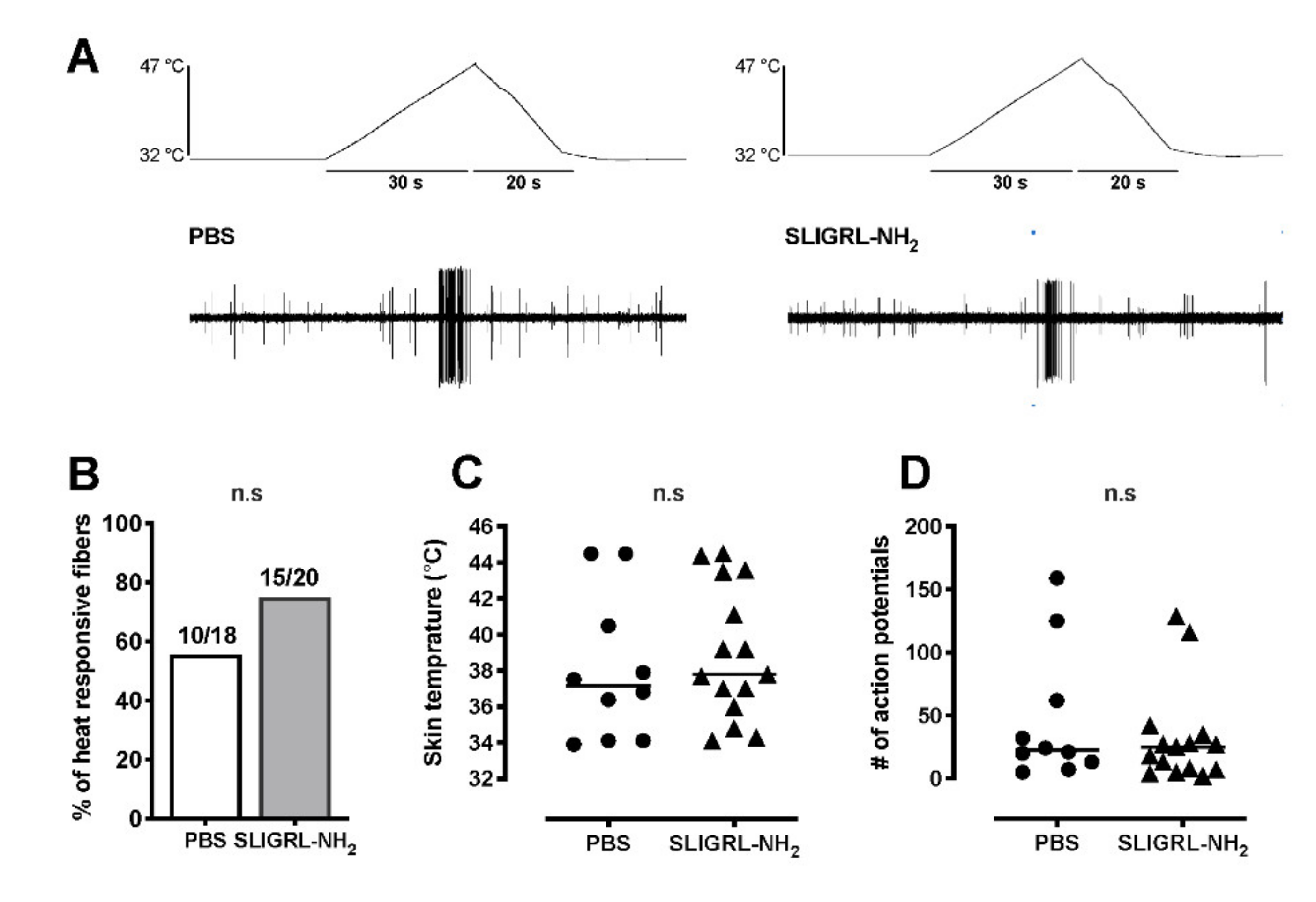 Brainsci 11 00144 g004