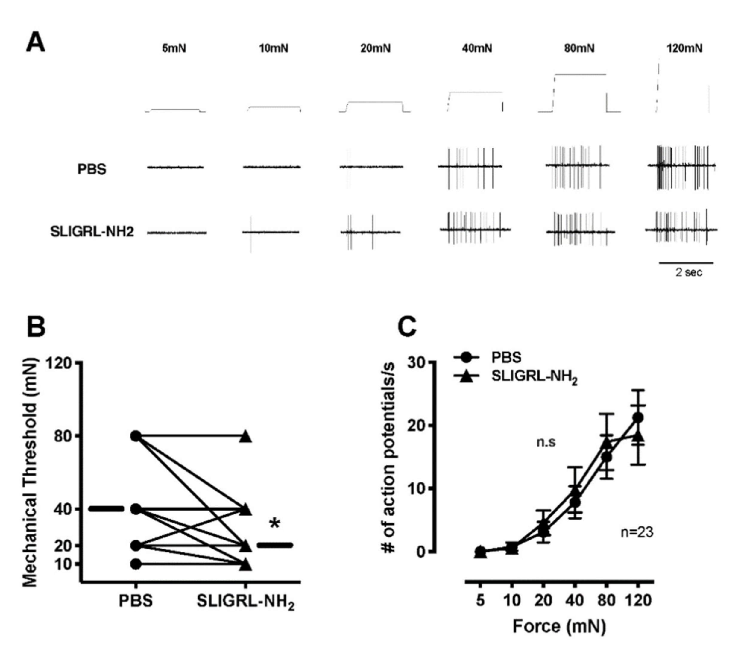 Brainsci 11 00144 g005