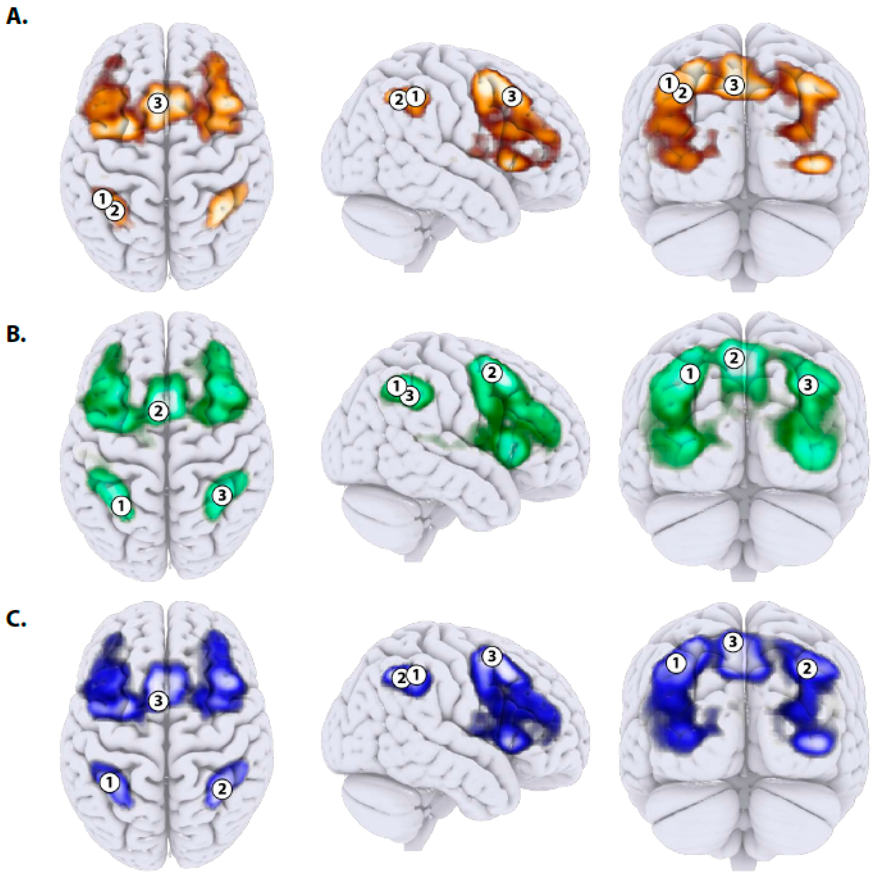 Brainsci 11 00155 g002 Brainsci 11 00155 g002