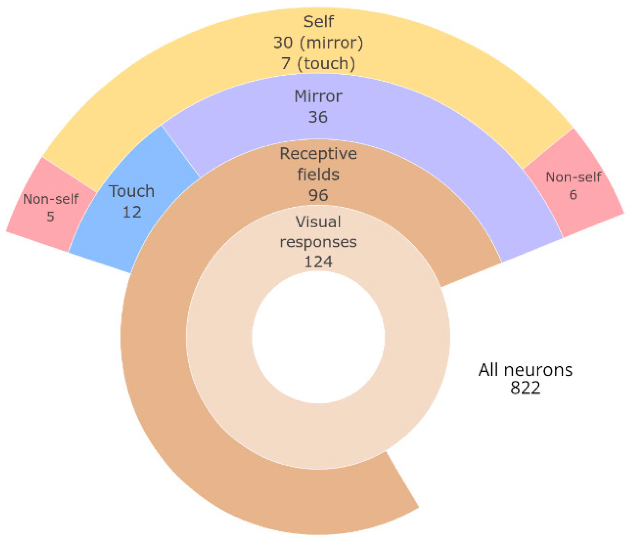 Brainsci 11 00157 g003