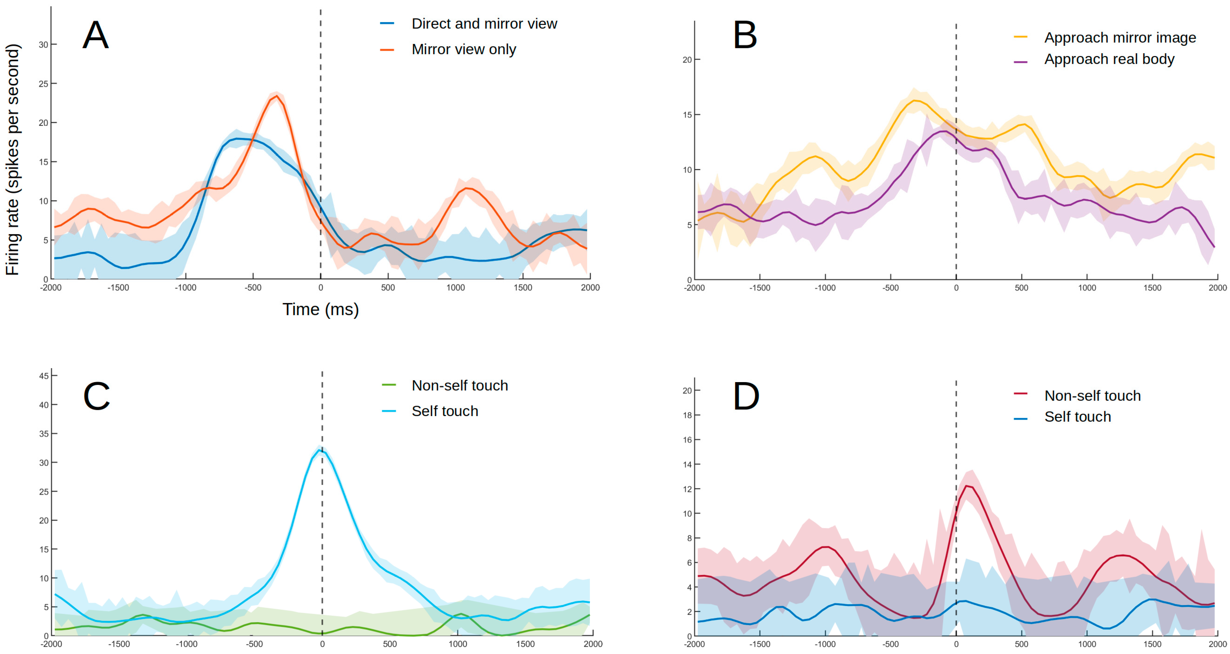 Brainsci 11 00157 g004