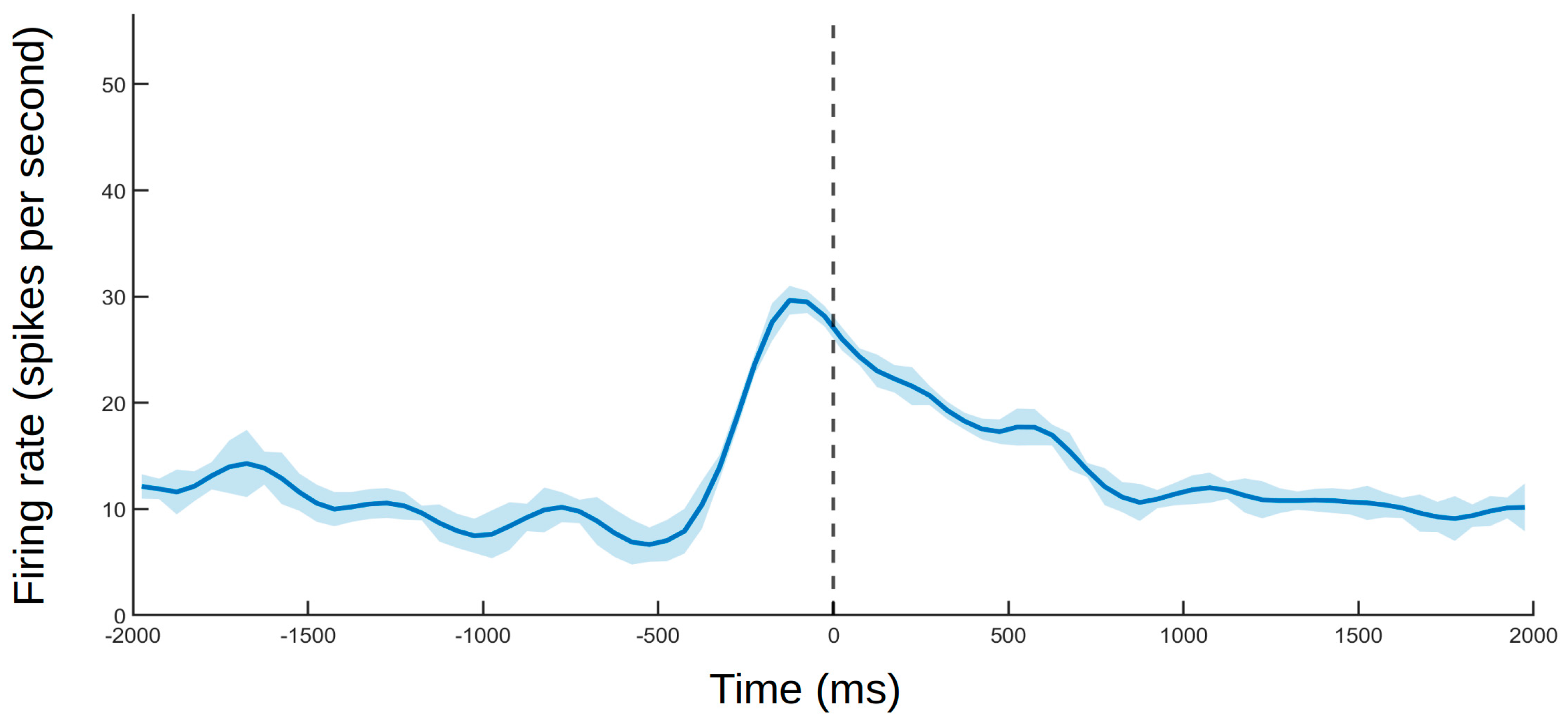 Brainsci 11 00157 g005