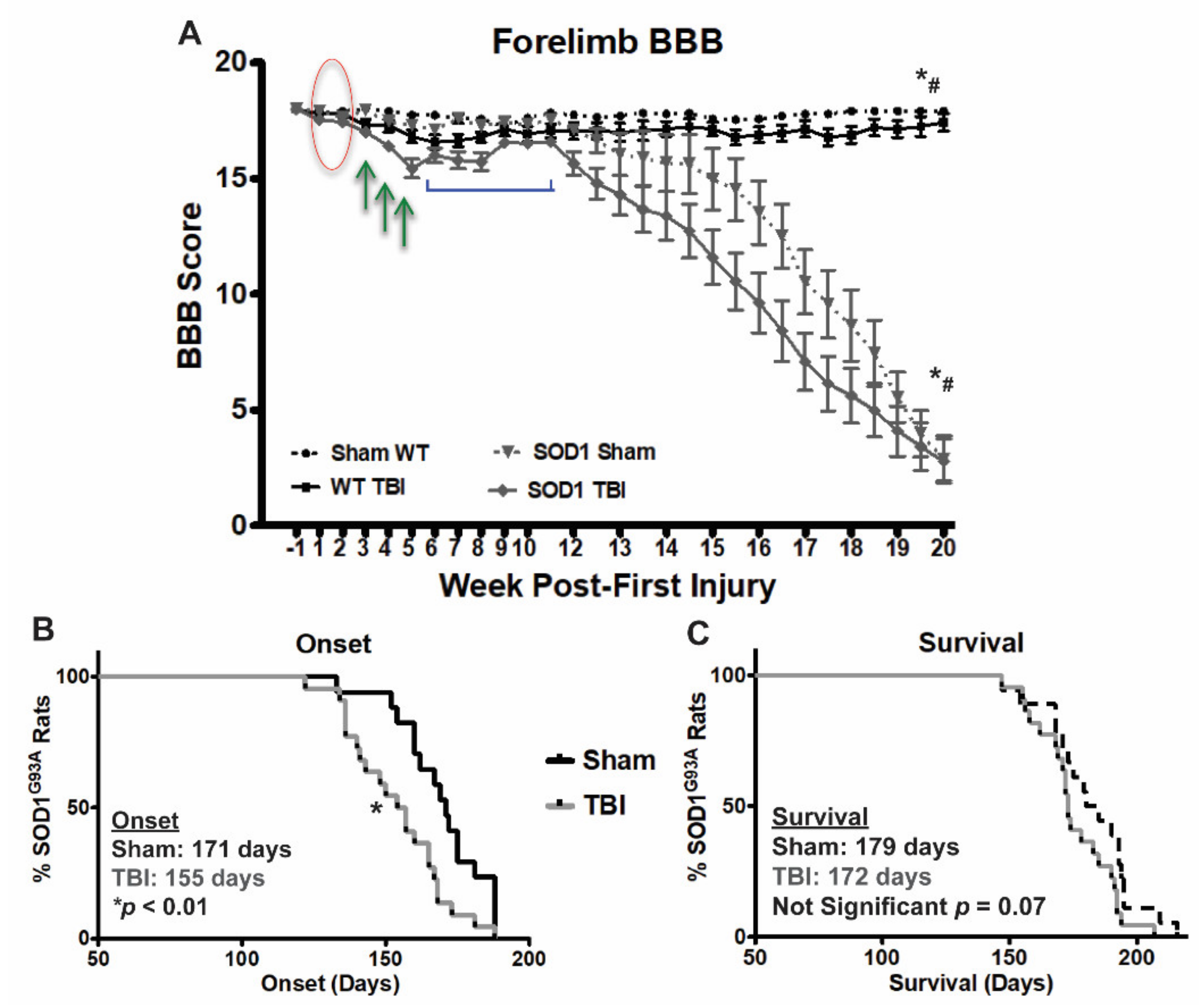 Brainsci 11 00160 g002 Brainsci 11 00160 g002