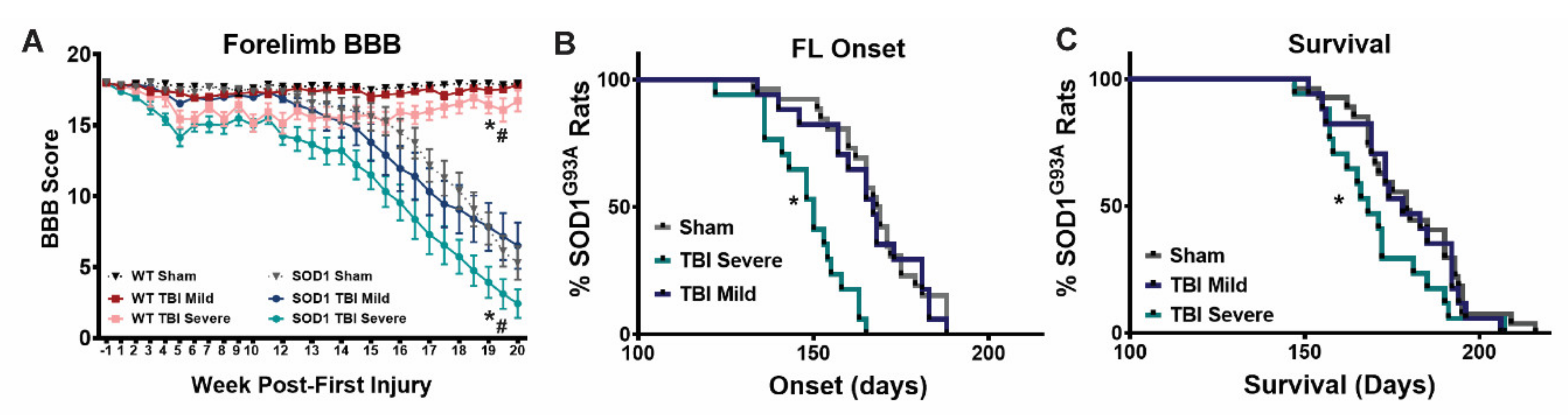 Brainsci 11 00160 g004 Brainsci 11 00160 g004