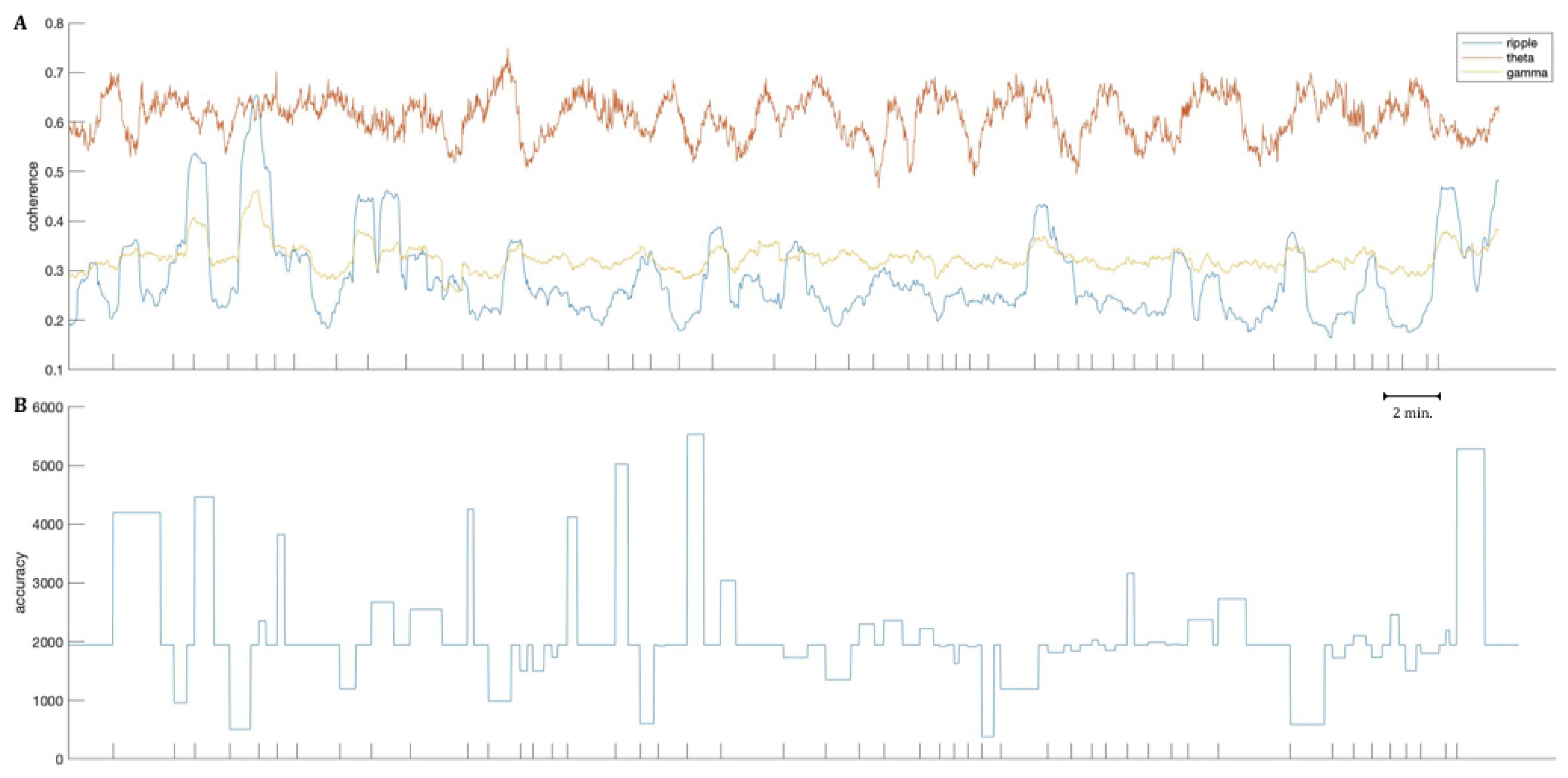 Brainsci 11 00162 g005