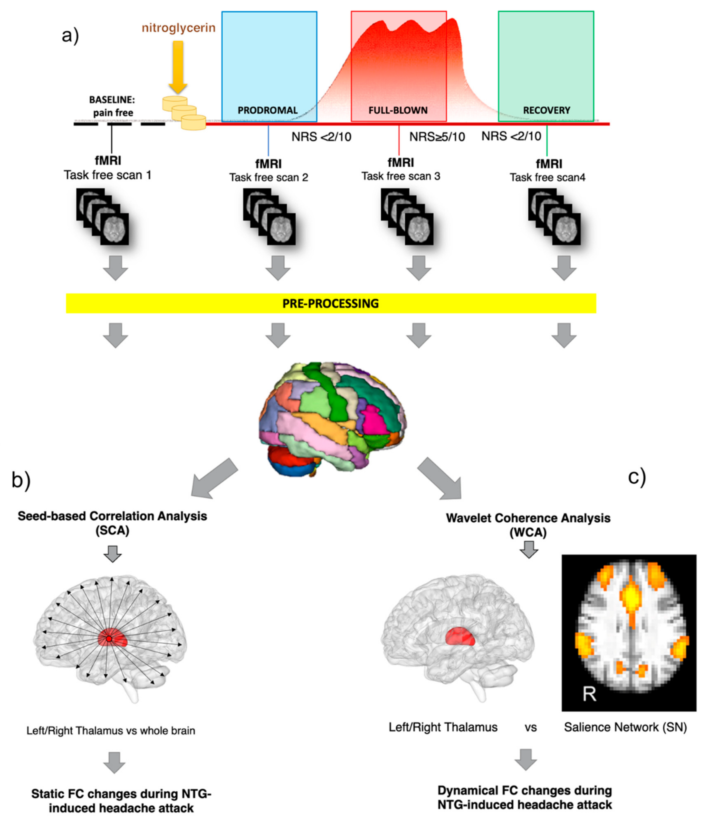 Brainsci 11 00165 g001