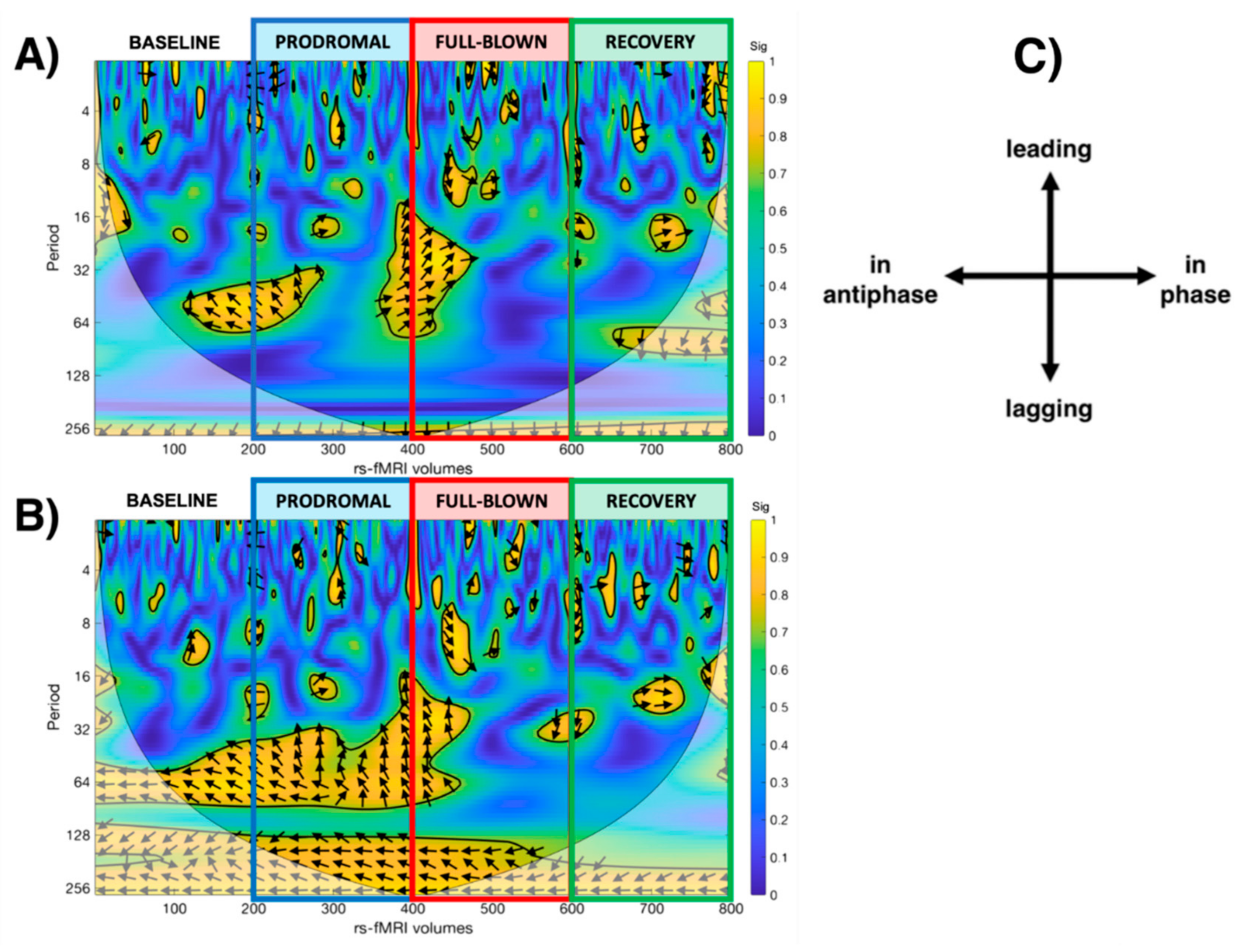 Brainsci 11 00165 g004