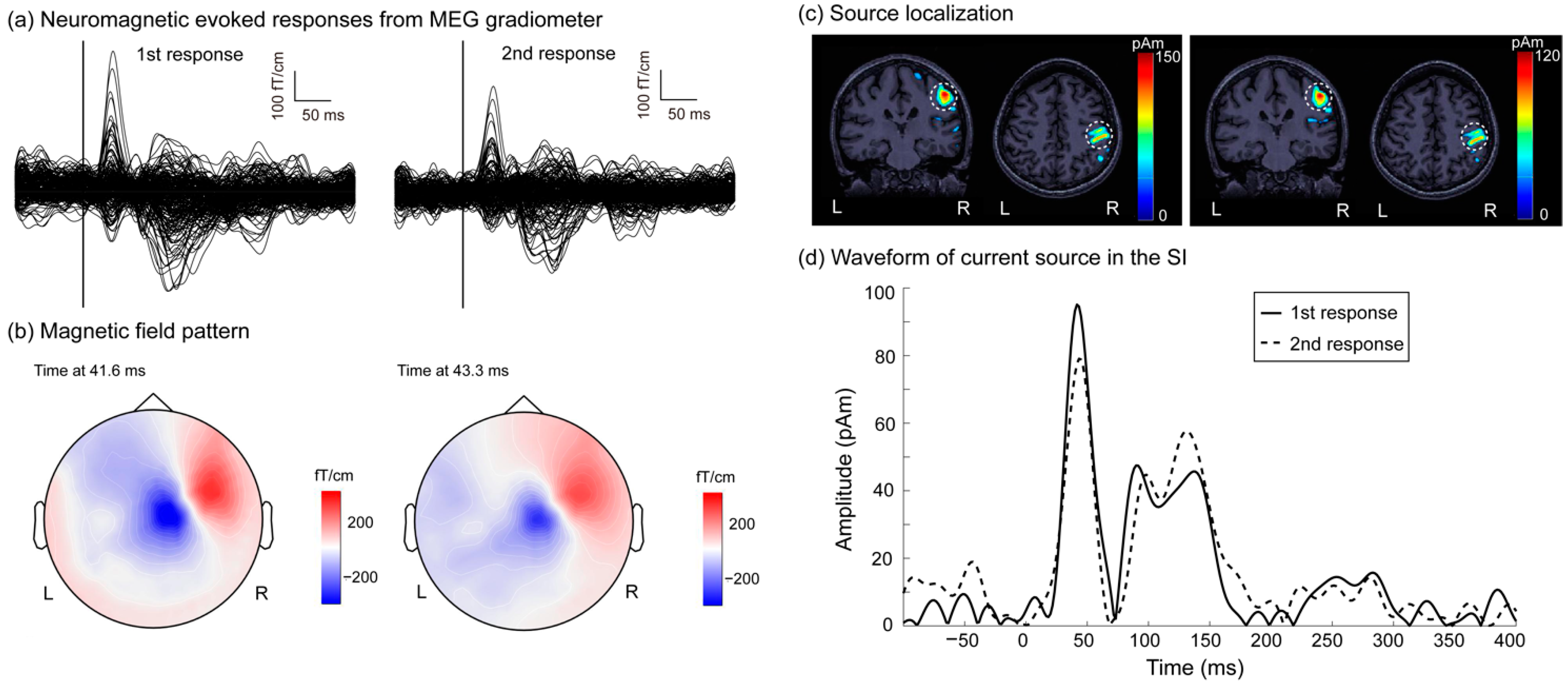 Brainsci 11 00166 g001 Brainsci 11 00166 g001