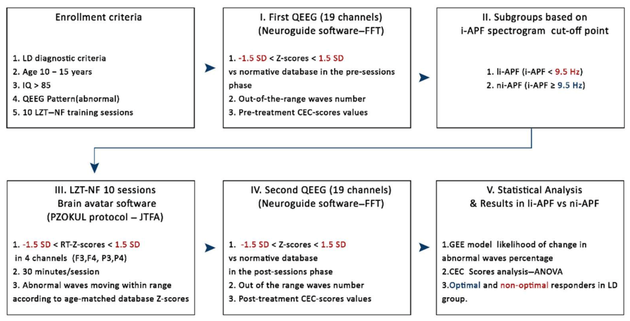 Brainsci 11 00167 g001