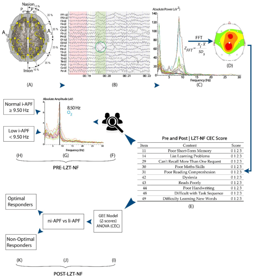 Brainsci 11 00167 g002