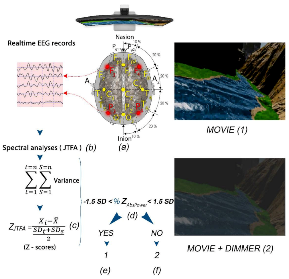 Brainsci 11 00167 g004
