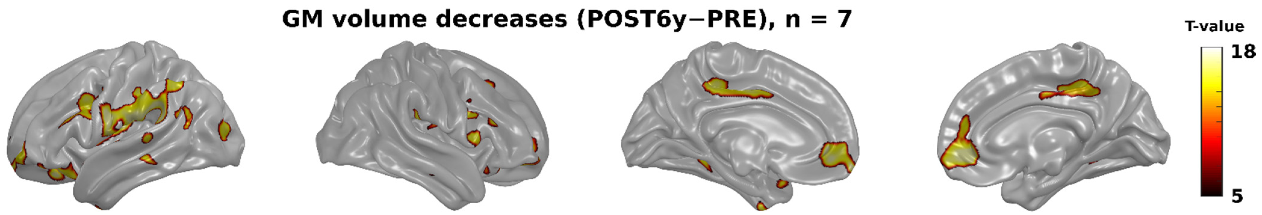 Brainsci 11 00168 g002 Brainsci 11 00168 g002