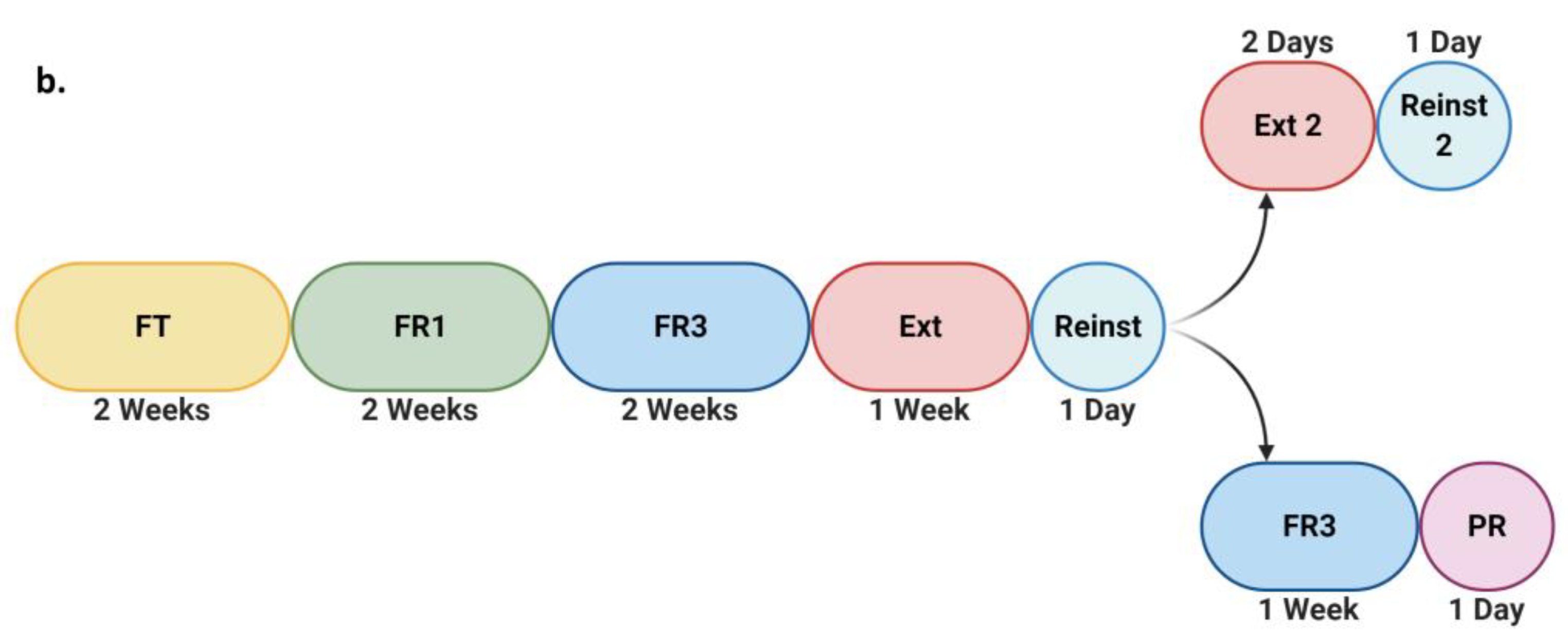 Brainsci 11 00189 g004b Brainsci 11 00189 g004b