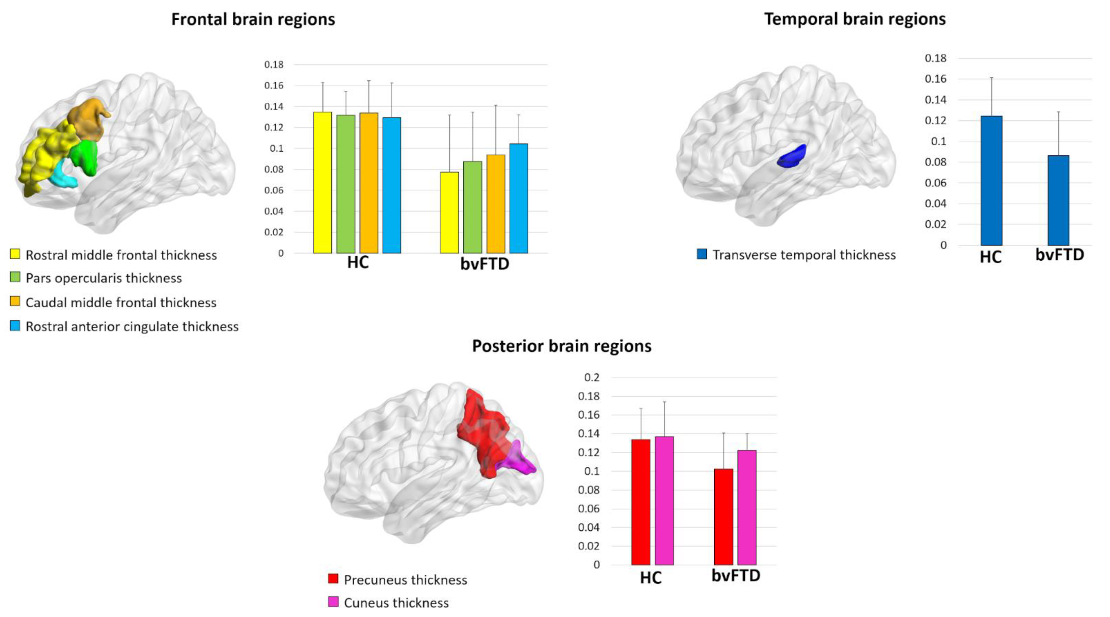 Brainsci 11 00192 g001
