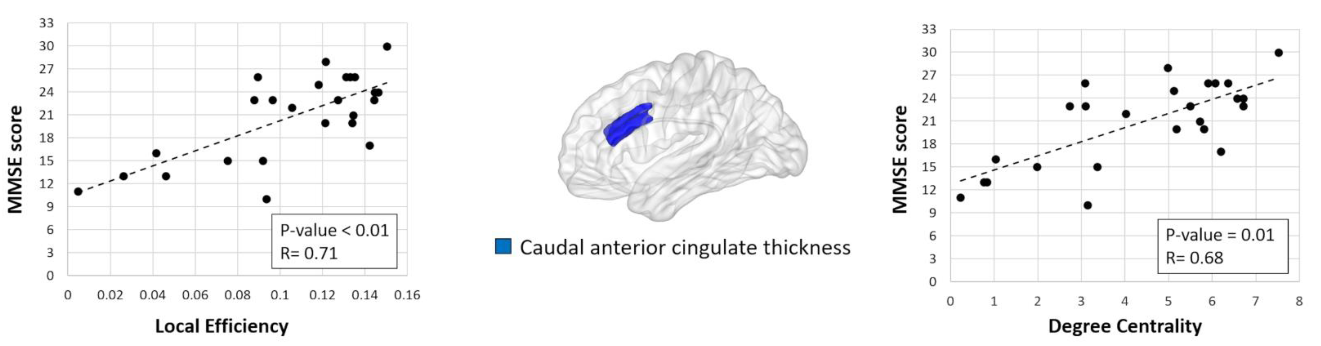 Brainsci 11 00192 g002