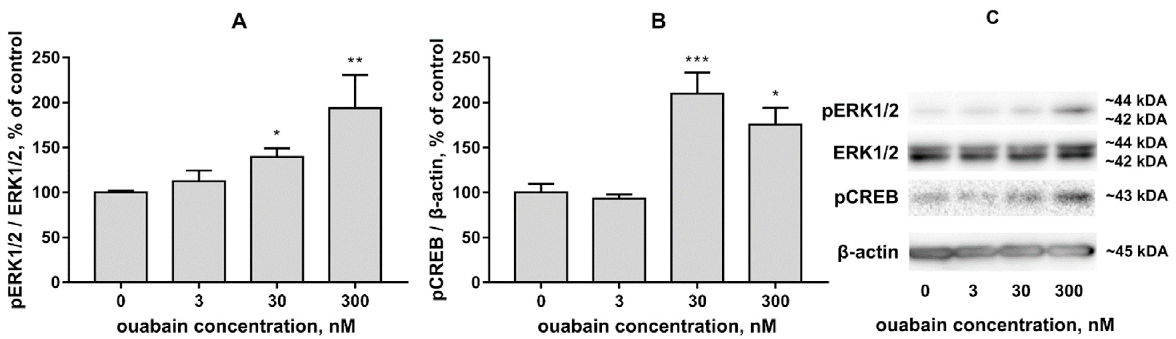 Brainsci 11 00203 g003