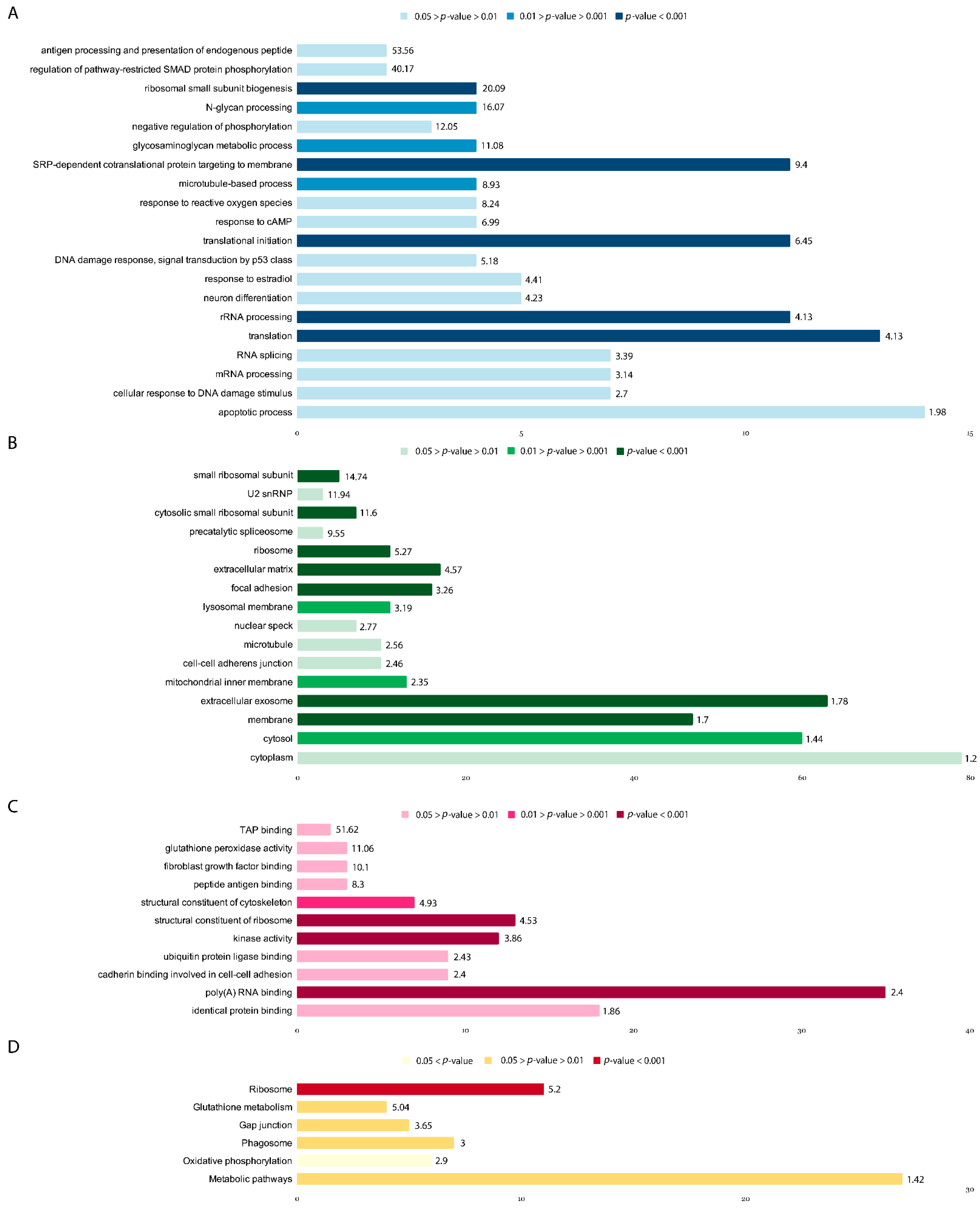 Brainsci 11 00203 g005