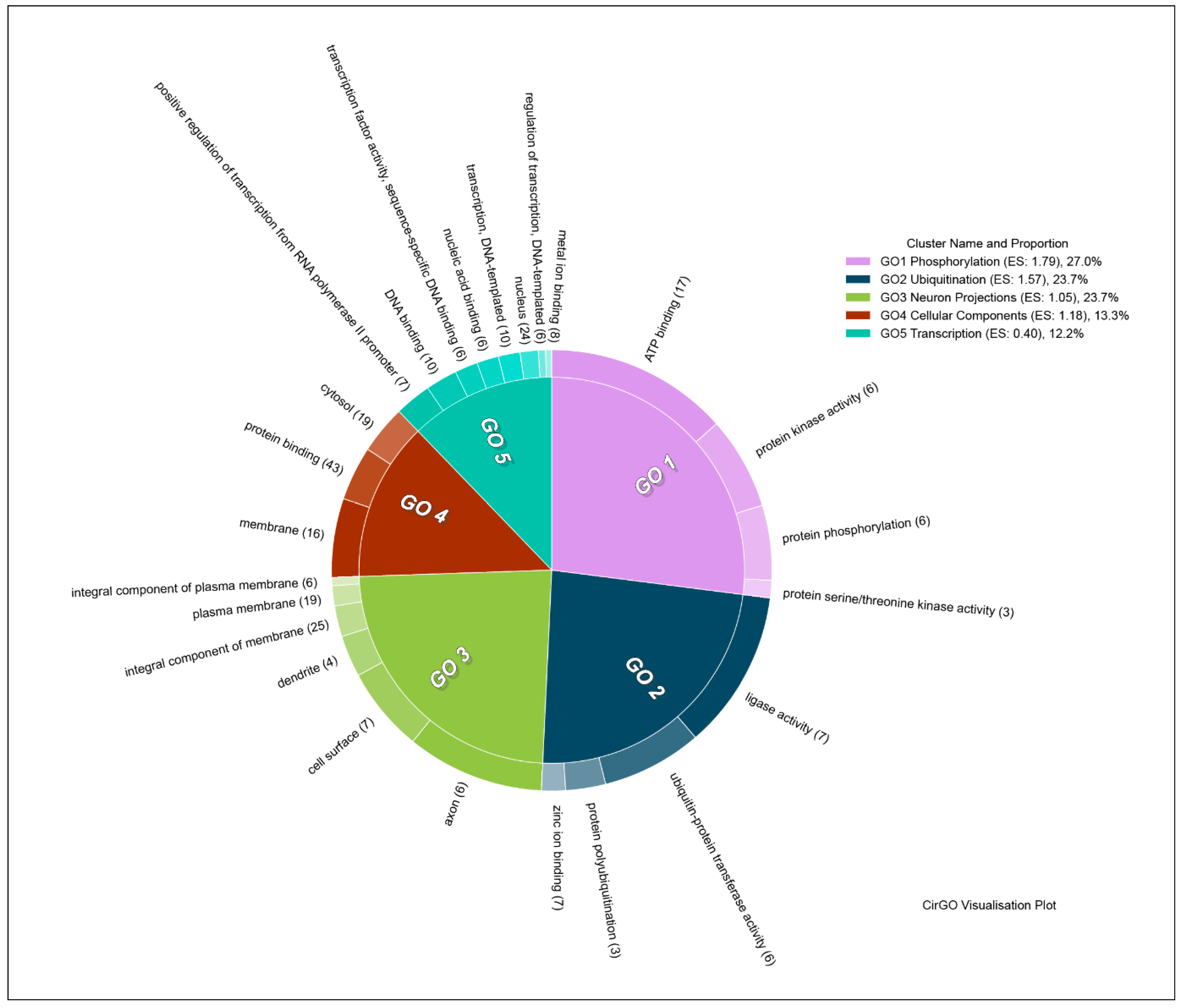 Brainsci 11 00203 g008