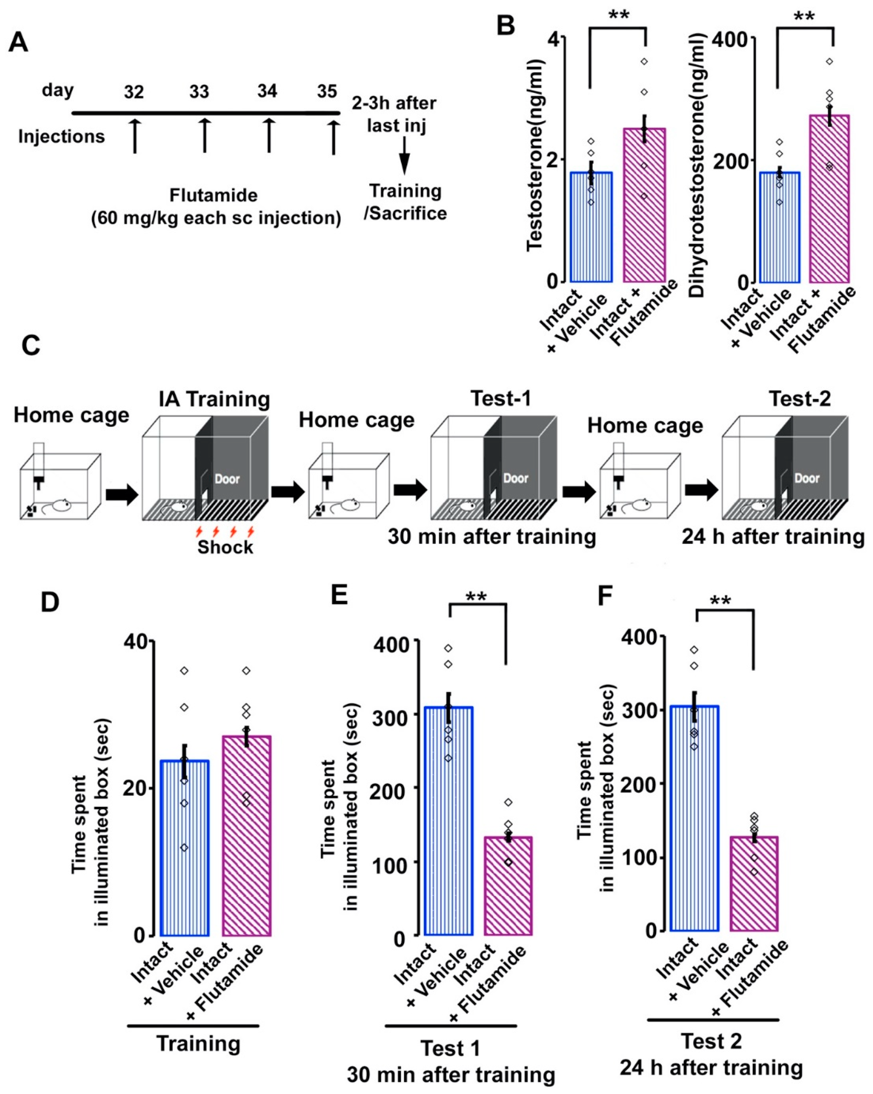 Brainsci 11 00239 g003