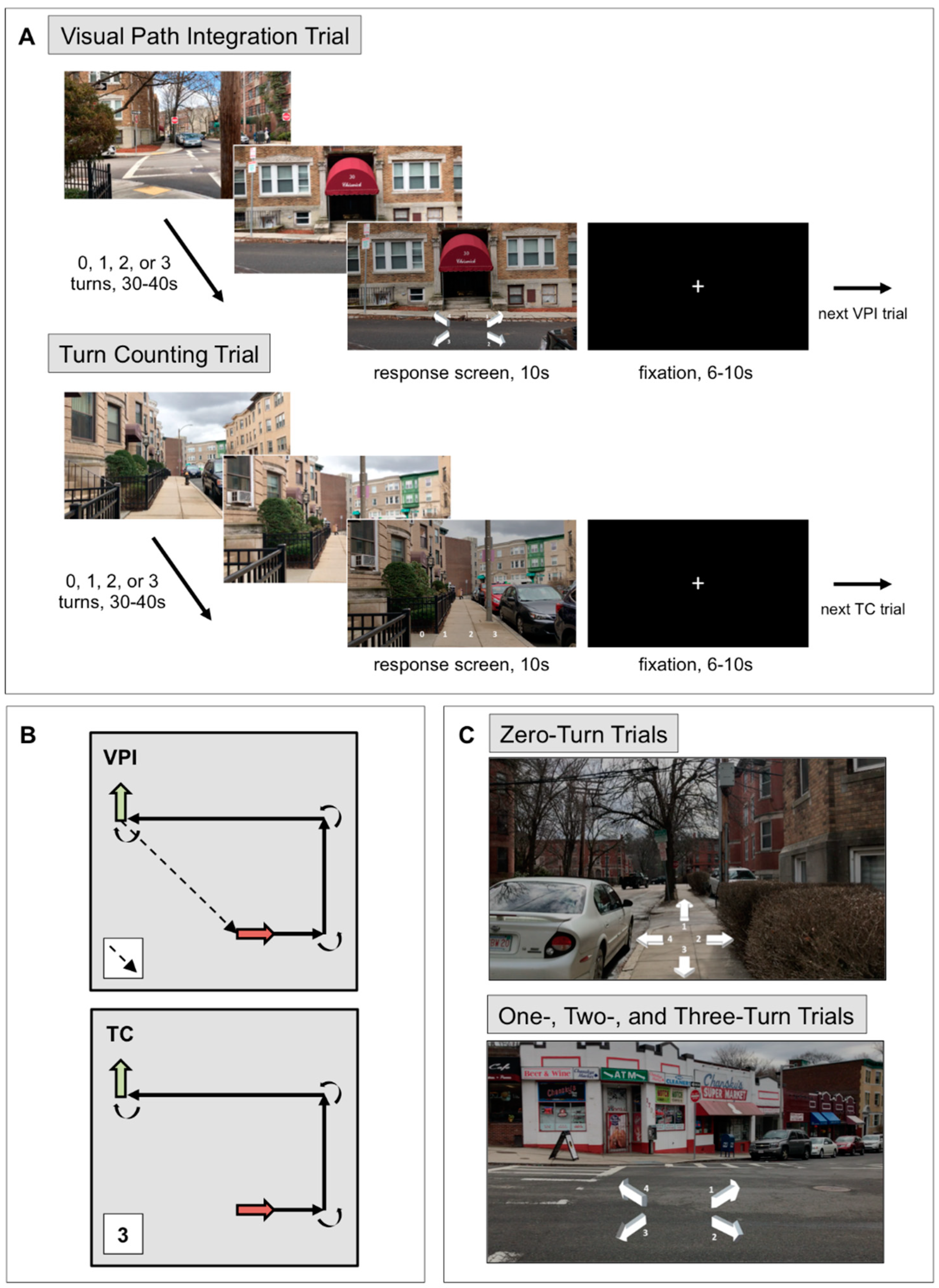 Brainsci 11 00245 g001