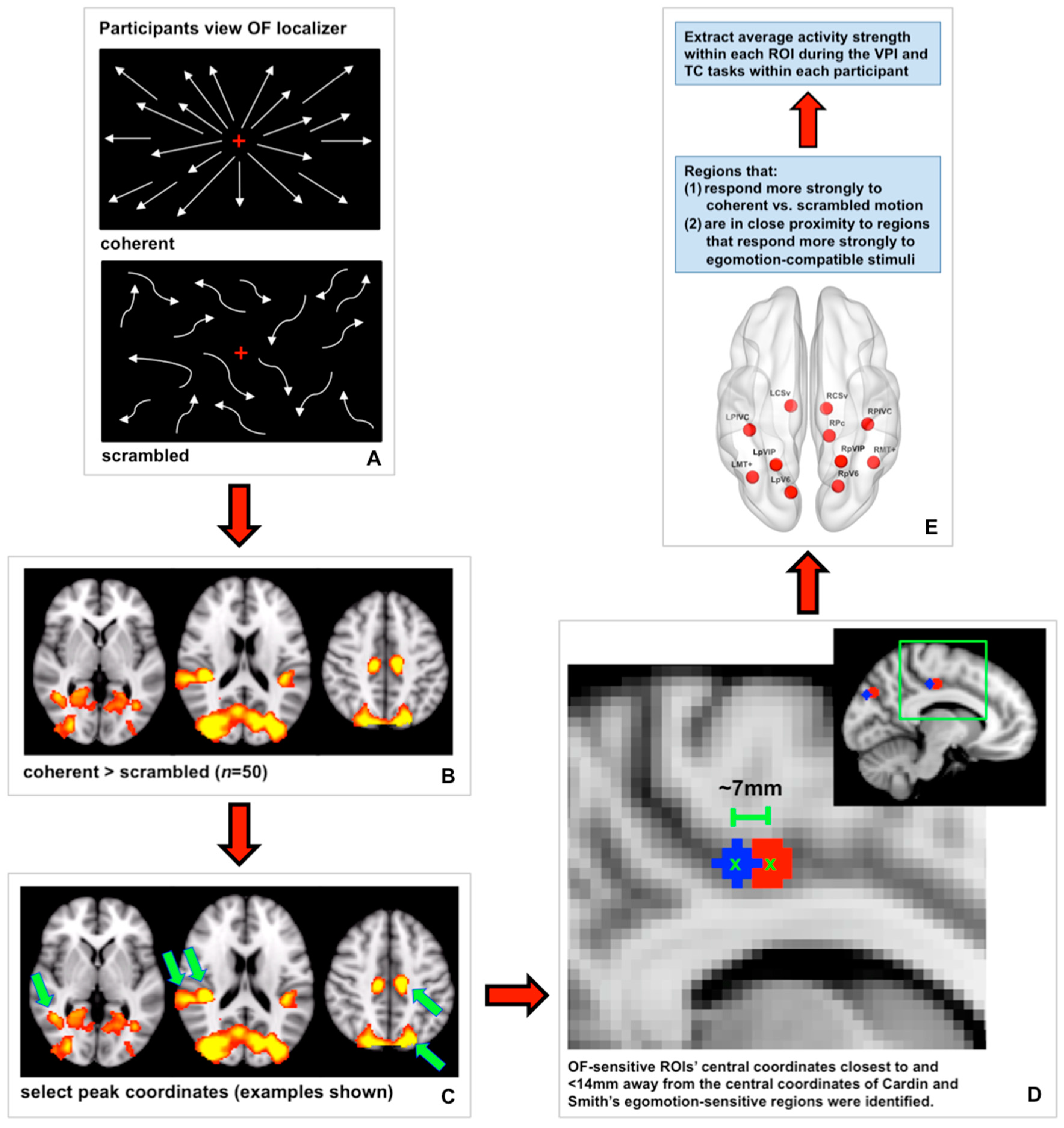 Brainsci 11 00245 g002