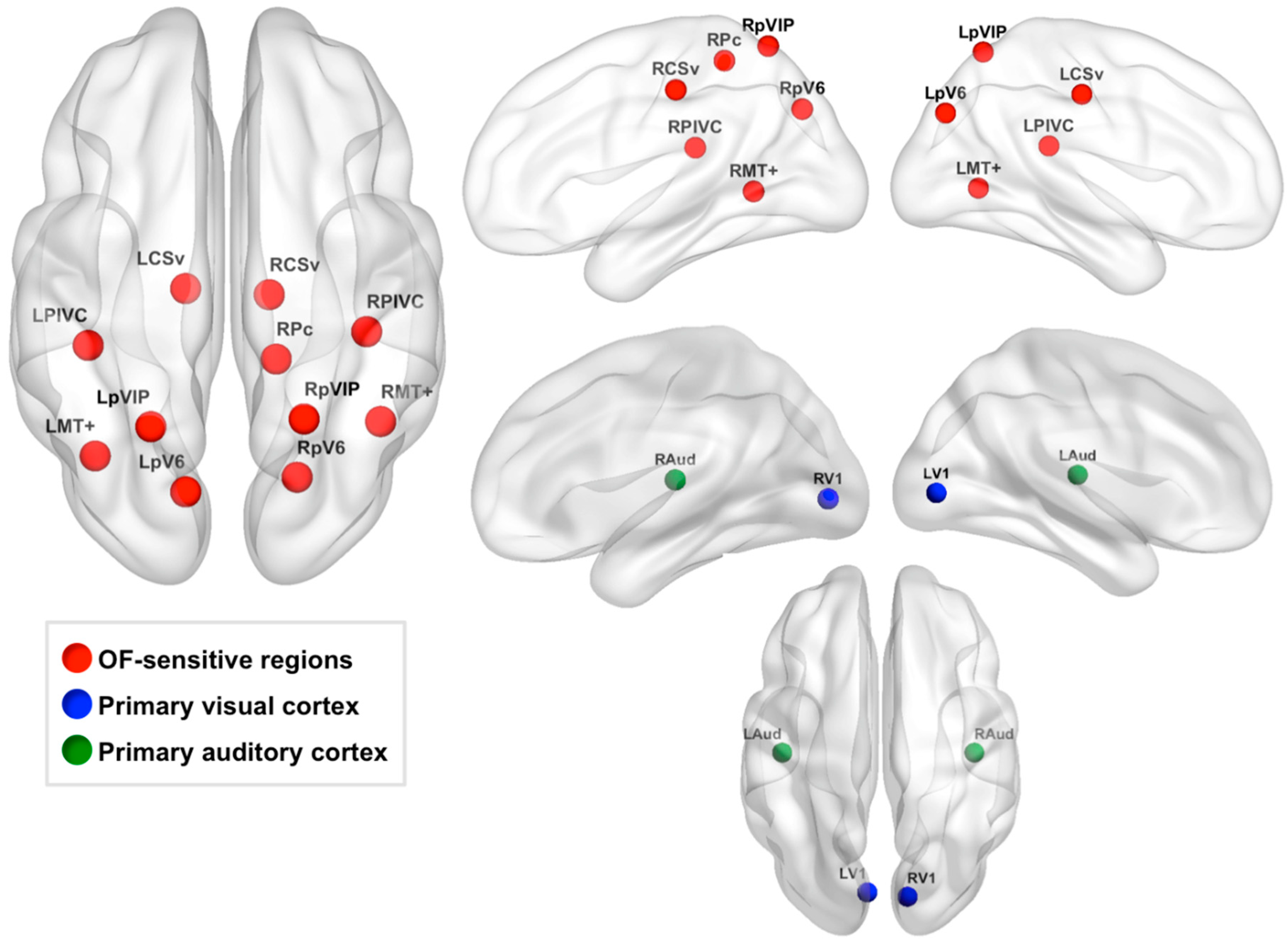 Brainsci 11 00245 g003