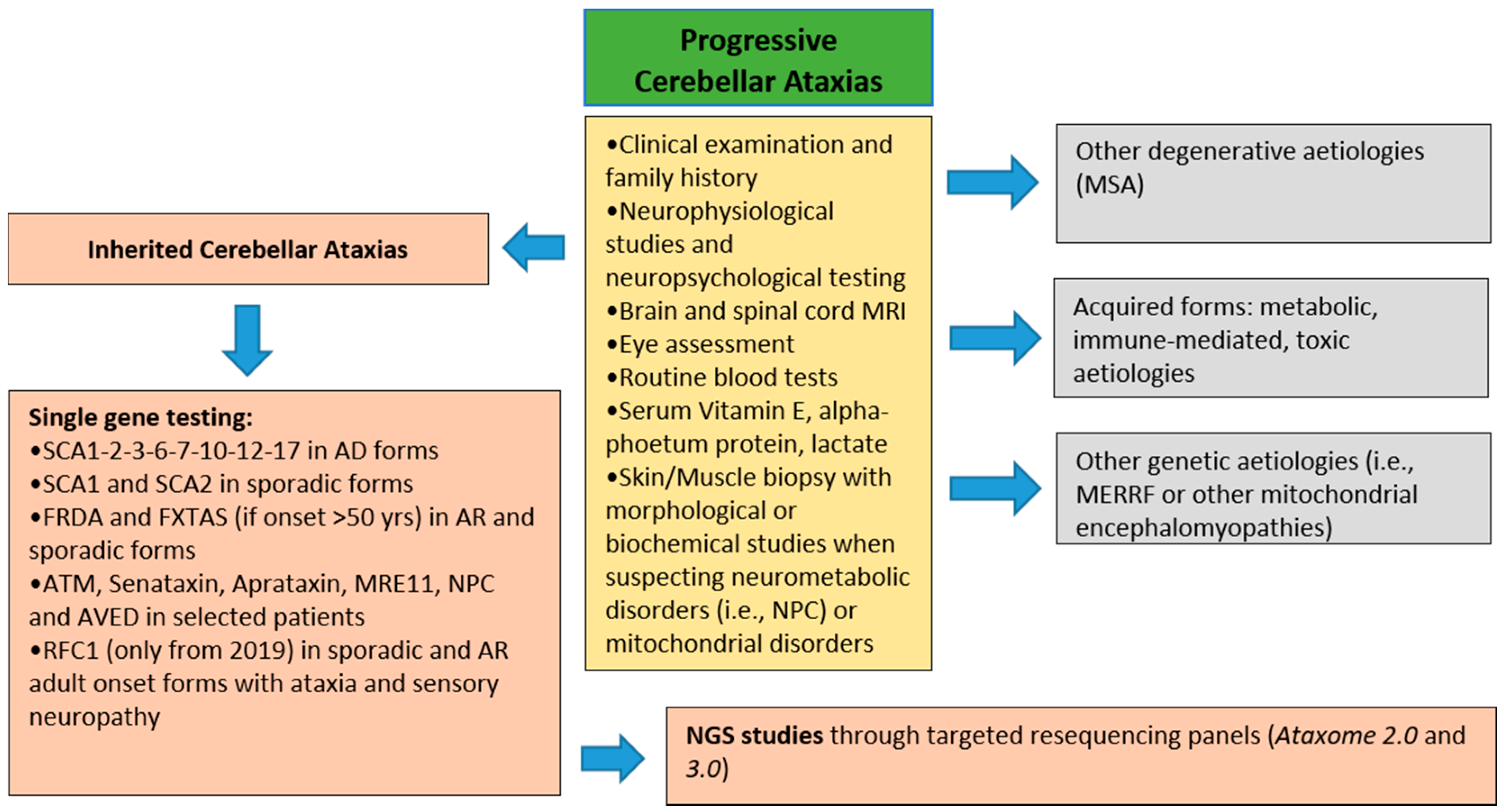 Brainsci 11 00246 g002 Brainsci 11 00246 g002