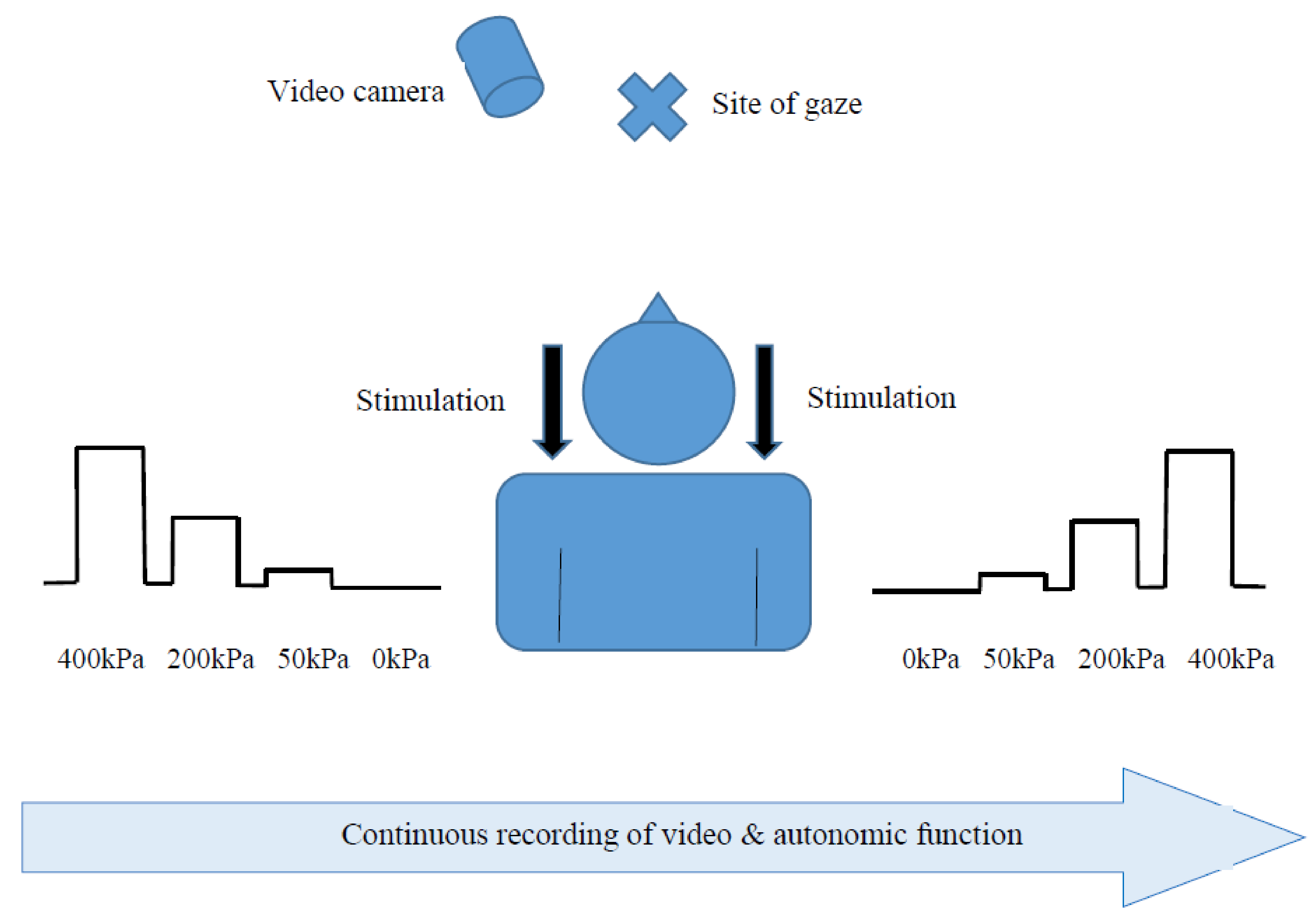 Brainsci 11 00253 g001