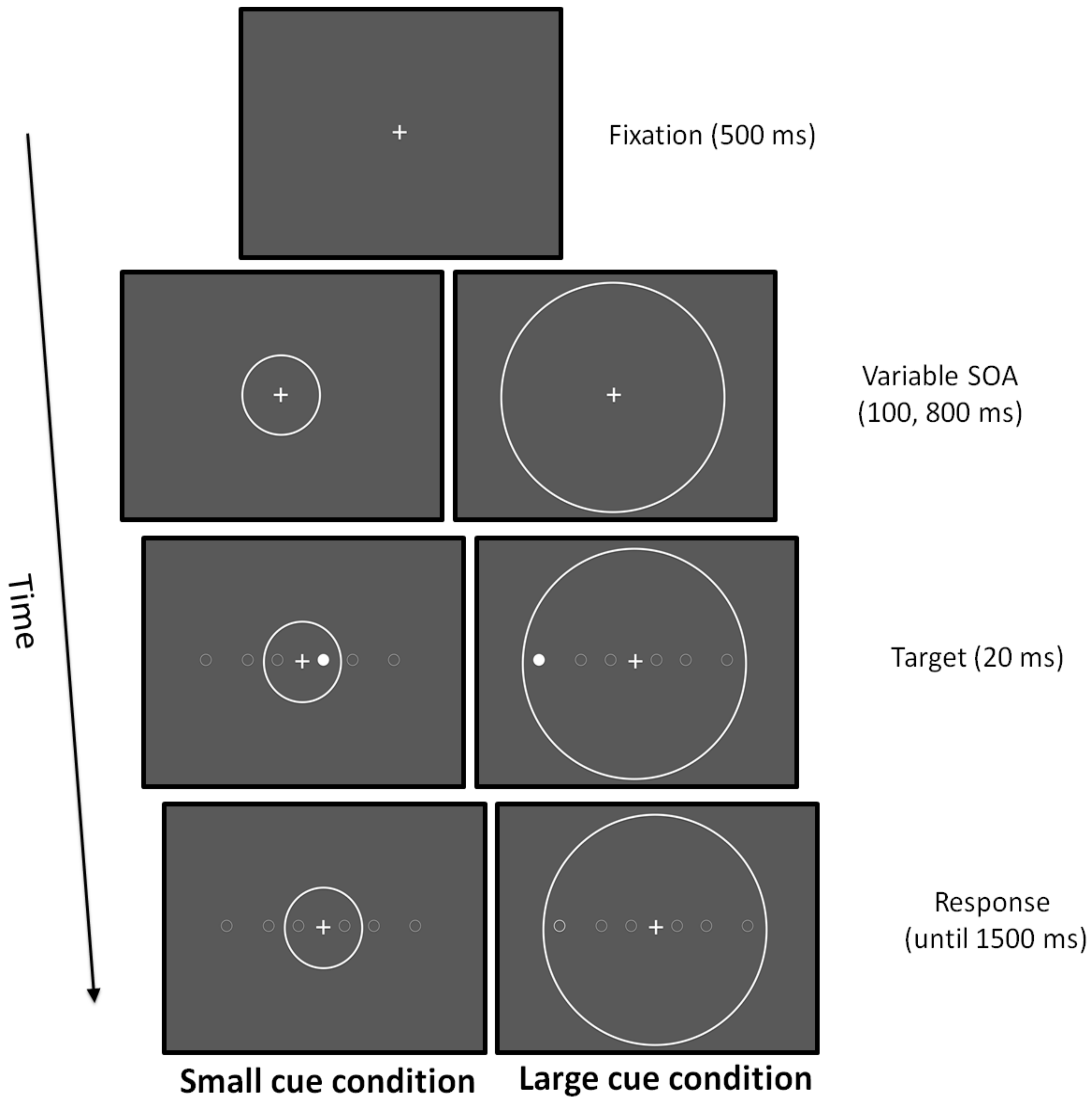 Brainsci 11 00263 g002