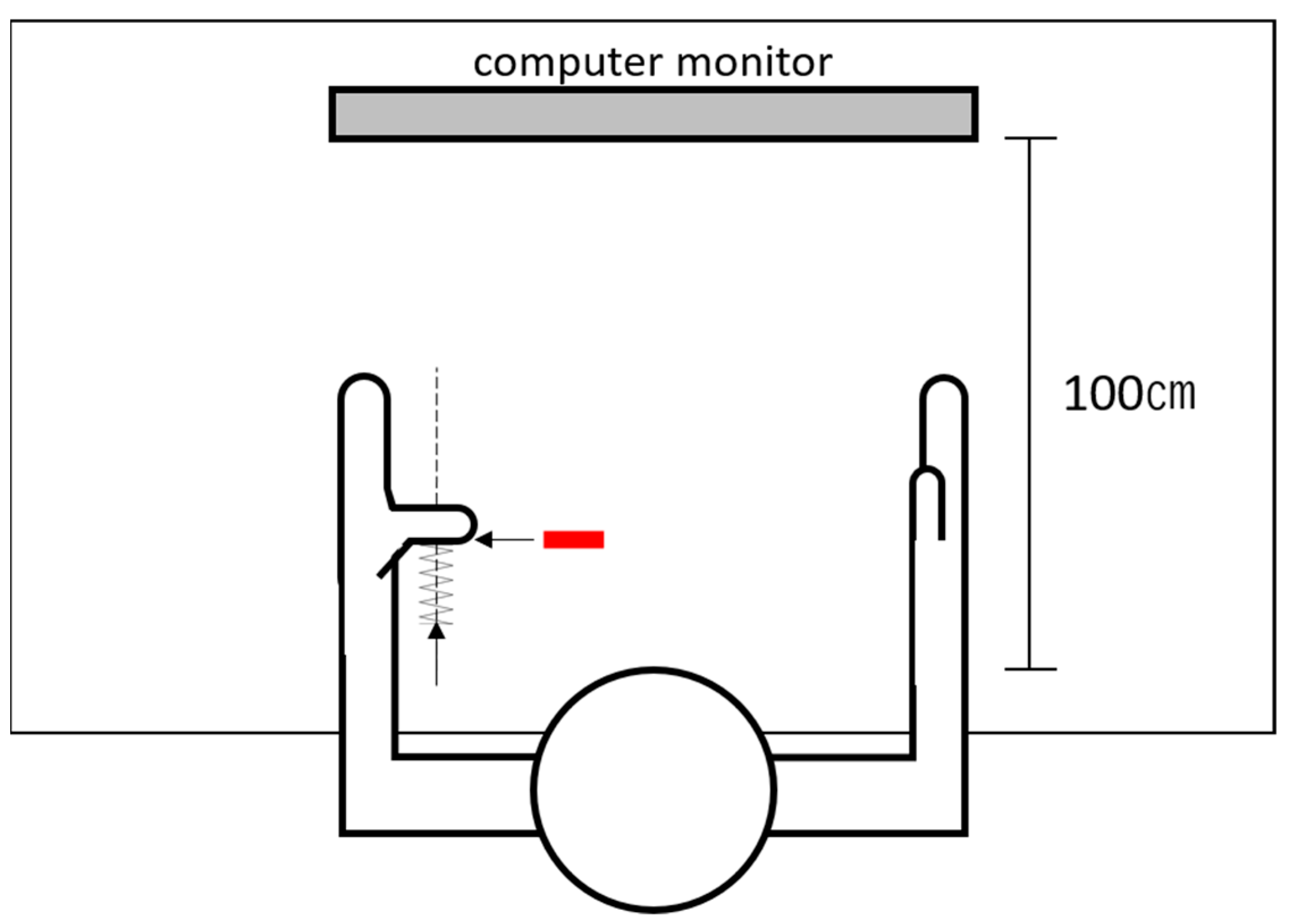 Brainsci 11 00266 g002