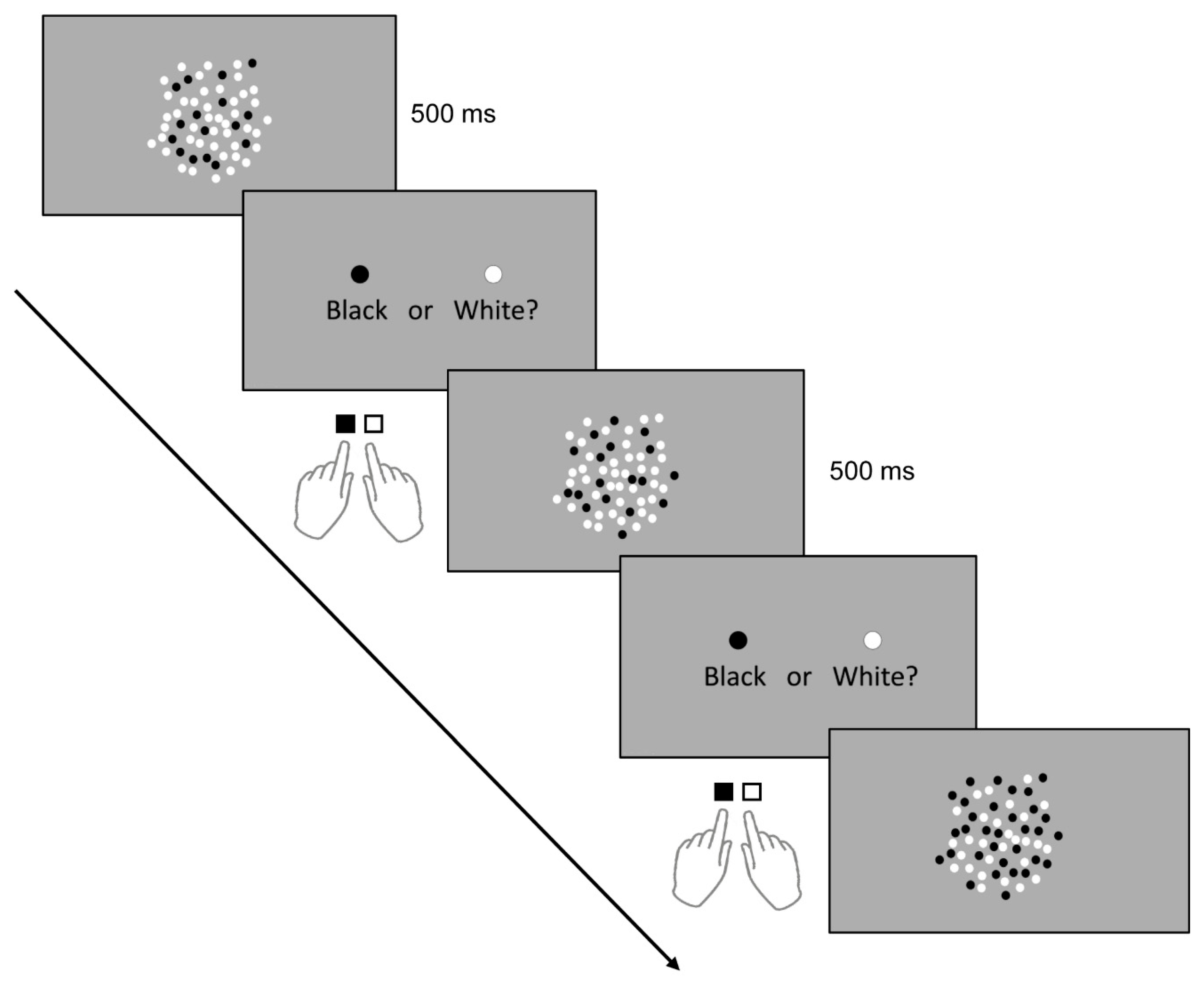 Brainsci 11 00270 g002