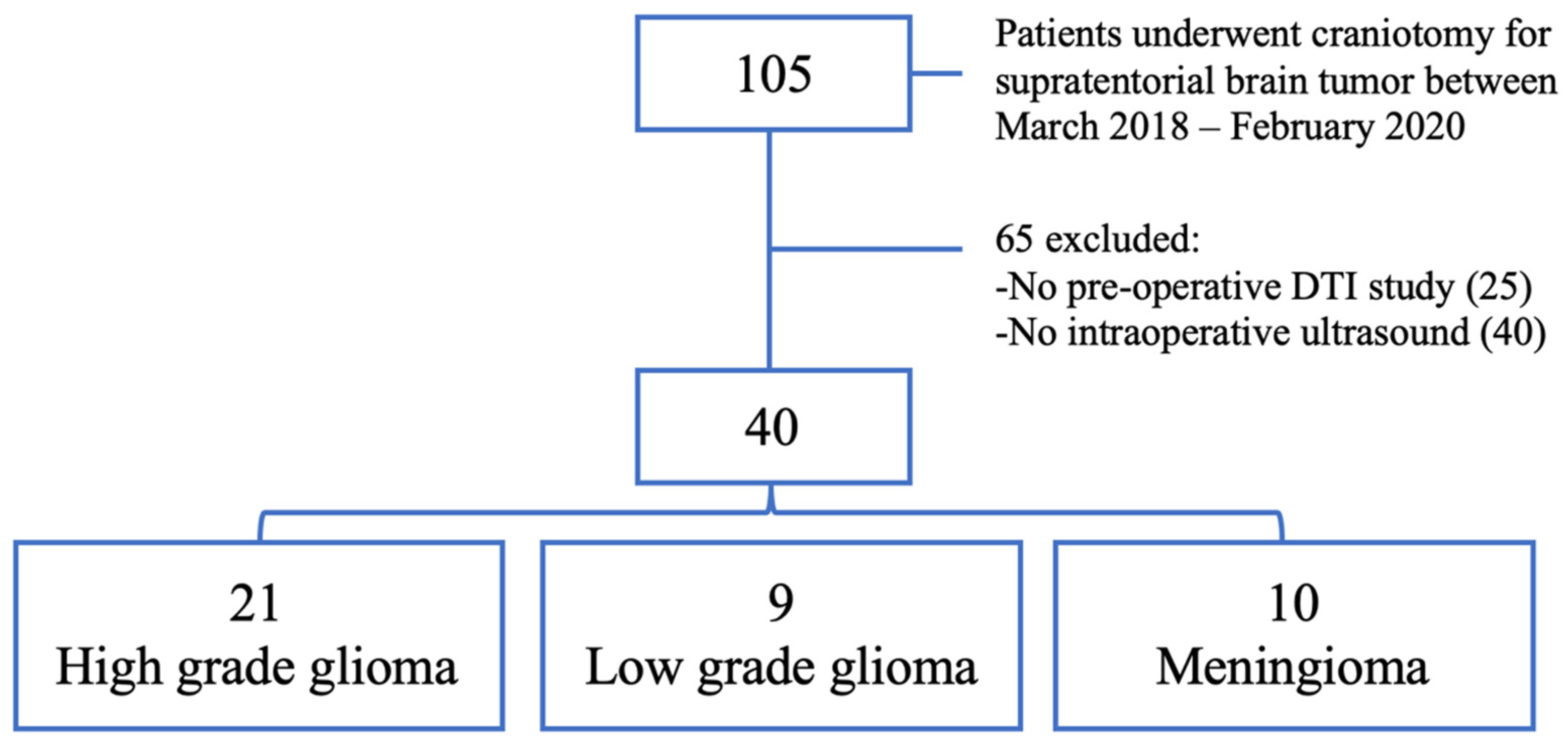 Brainsci 11 00271 g001 Brainsci 11 00271 g001