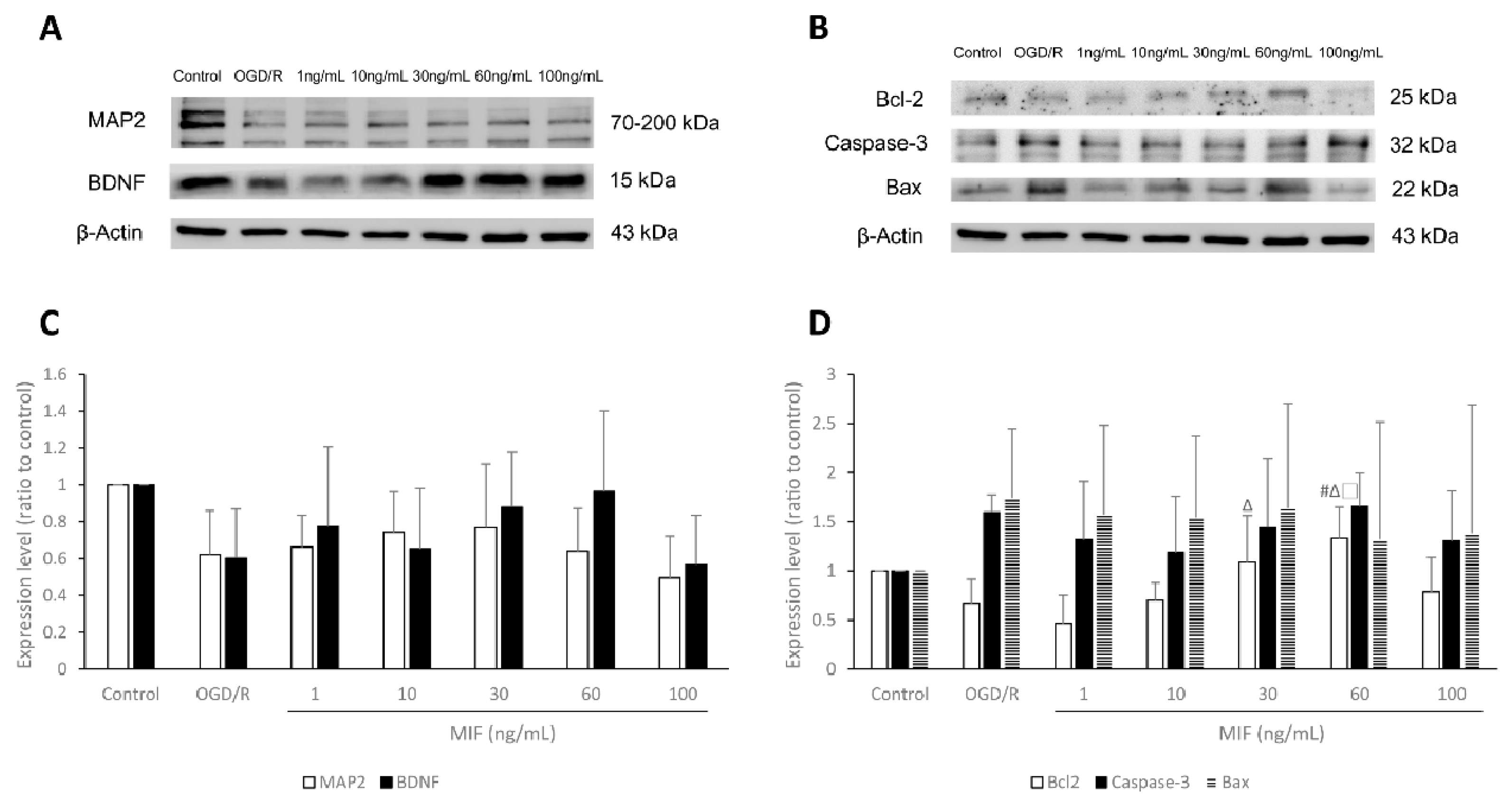 Brainsci 11 00280 g003