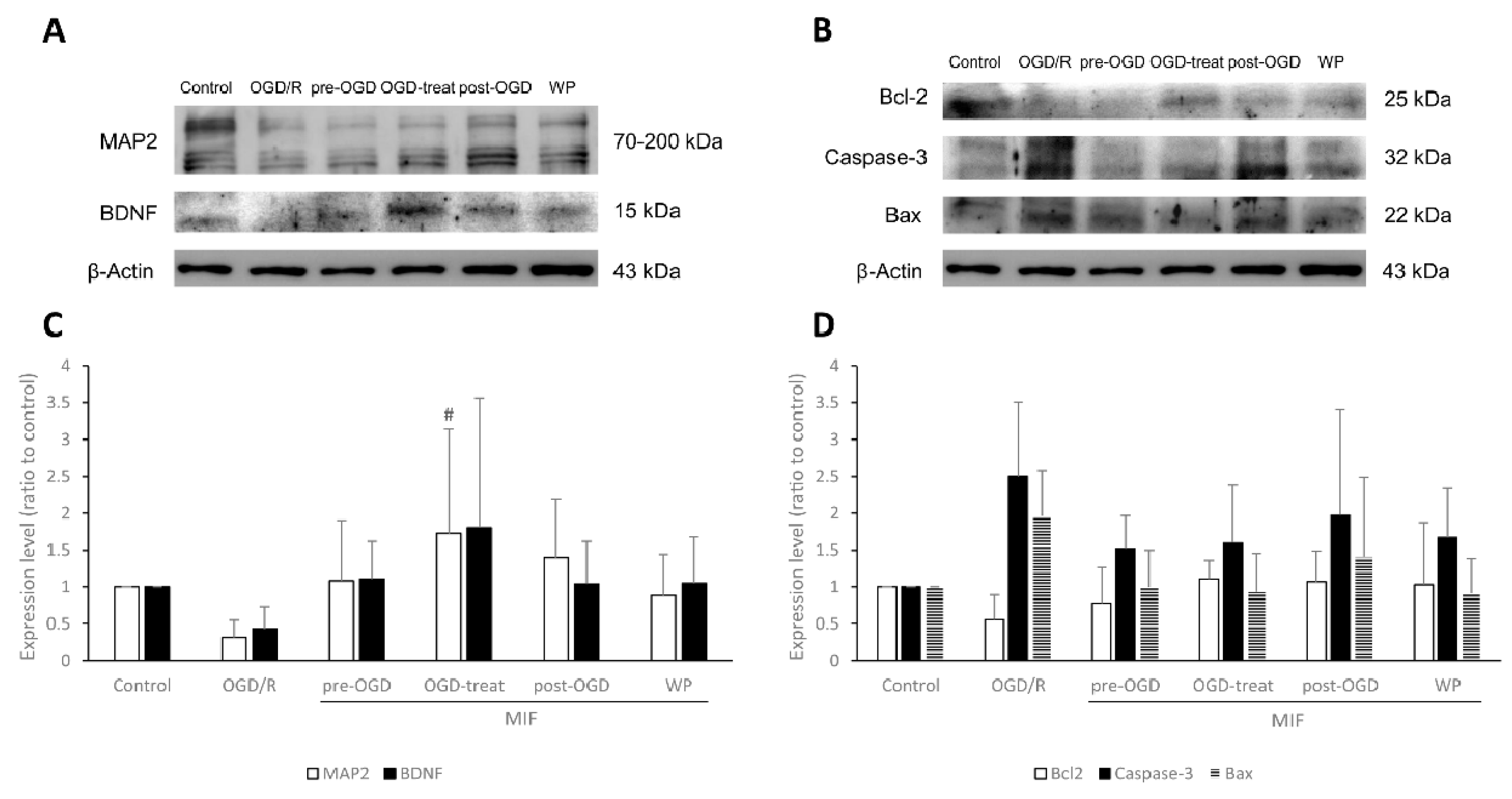 Brainsci 11 00280 g006
