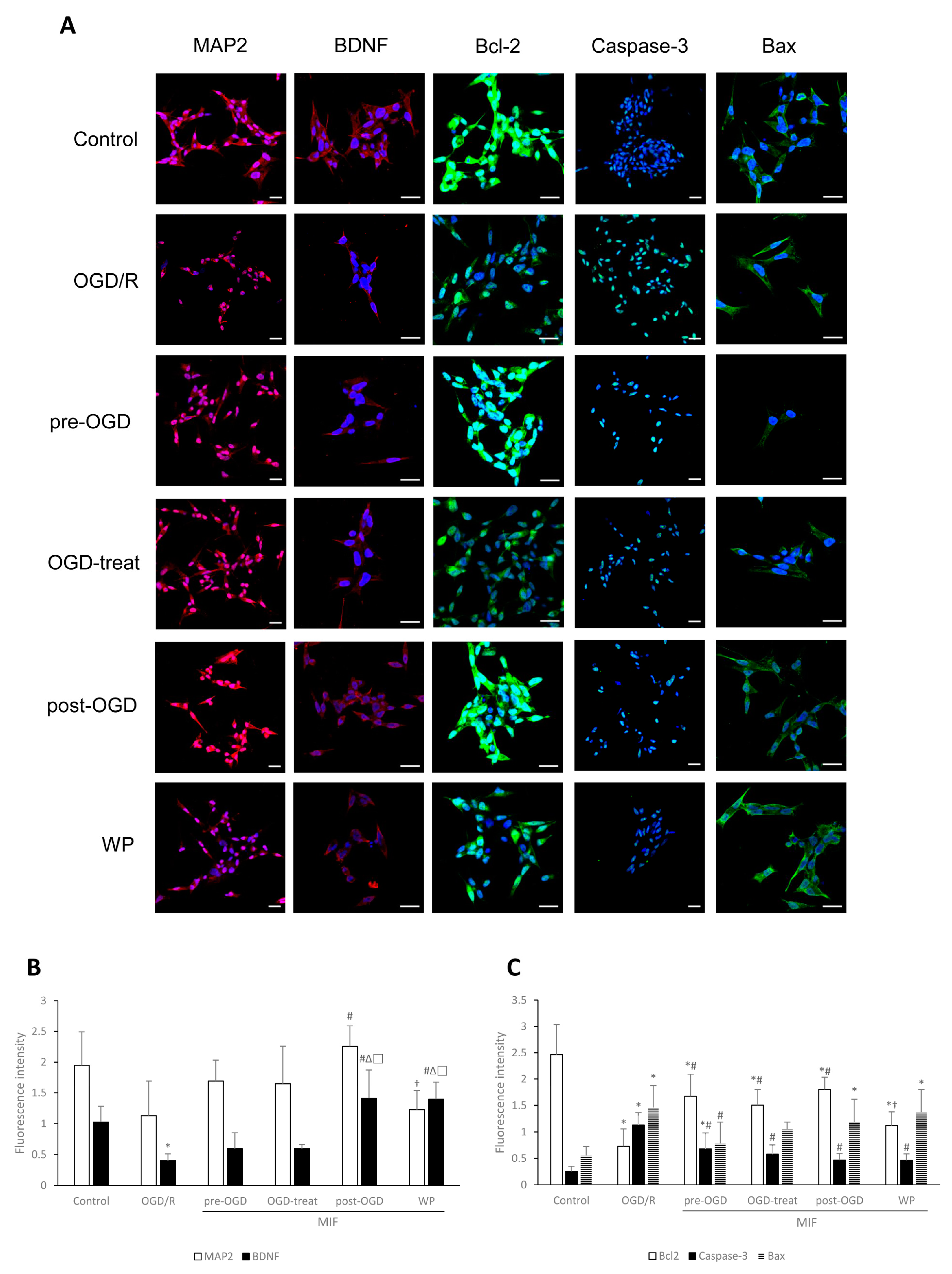Brainsci 11 00280 g007