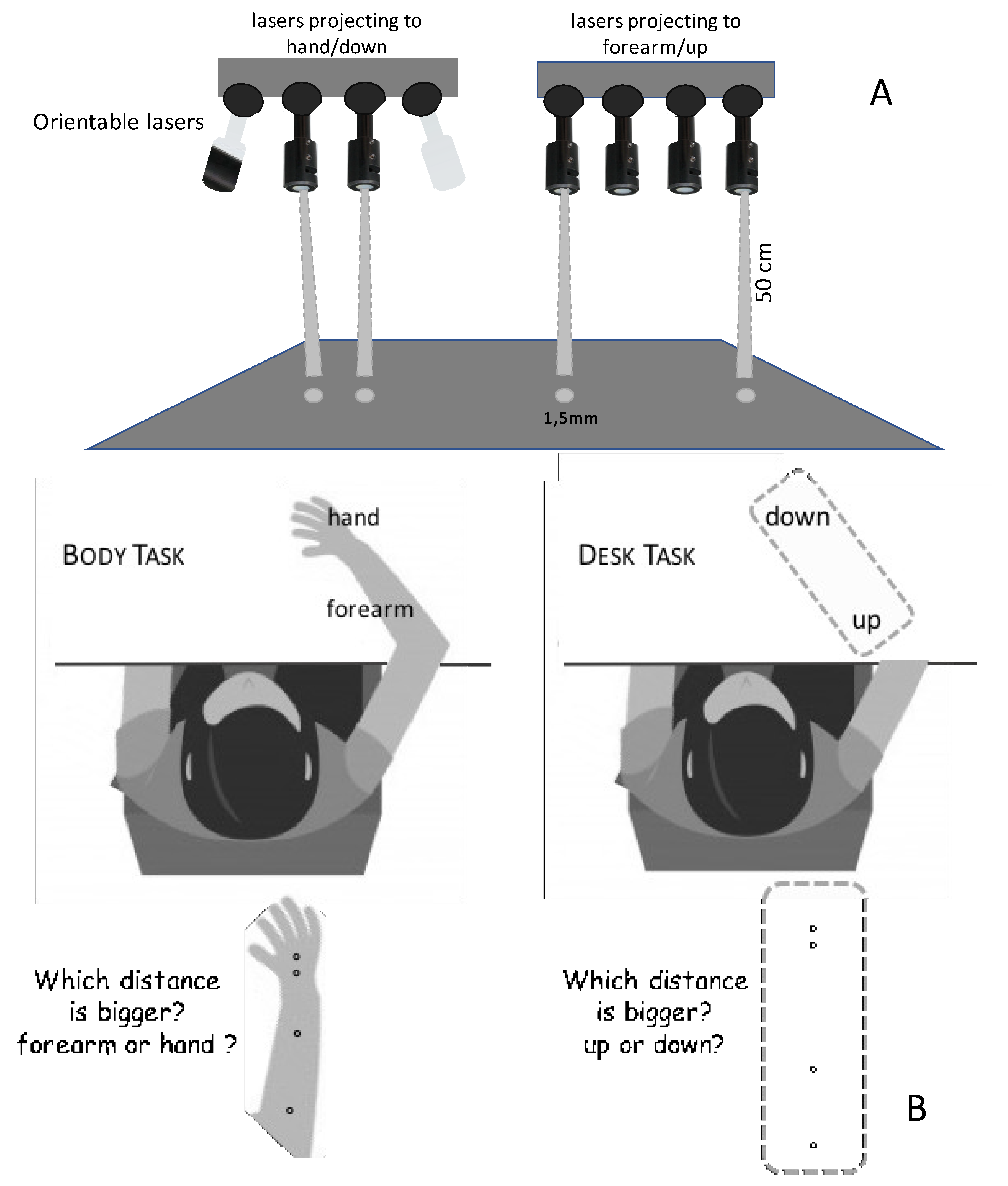 Brainsci 11 00284 g001
