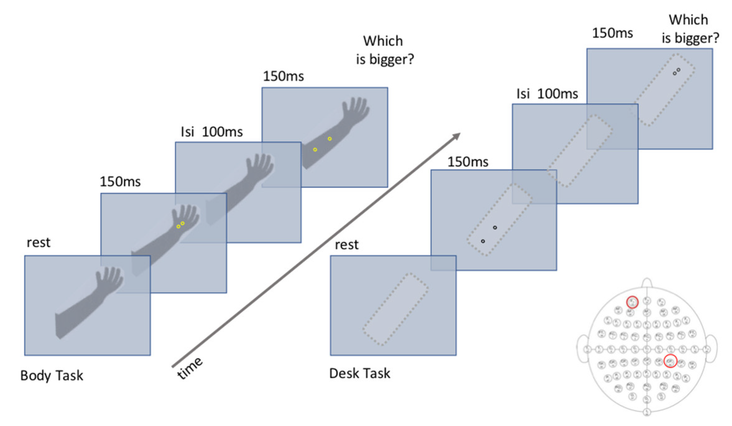 Brainsci 11 00284 g002