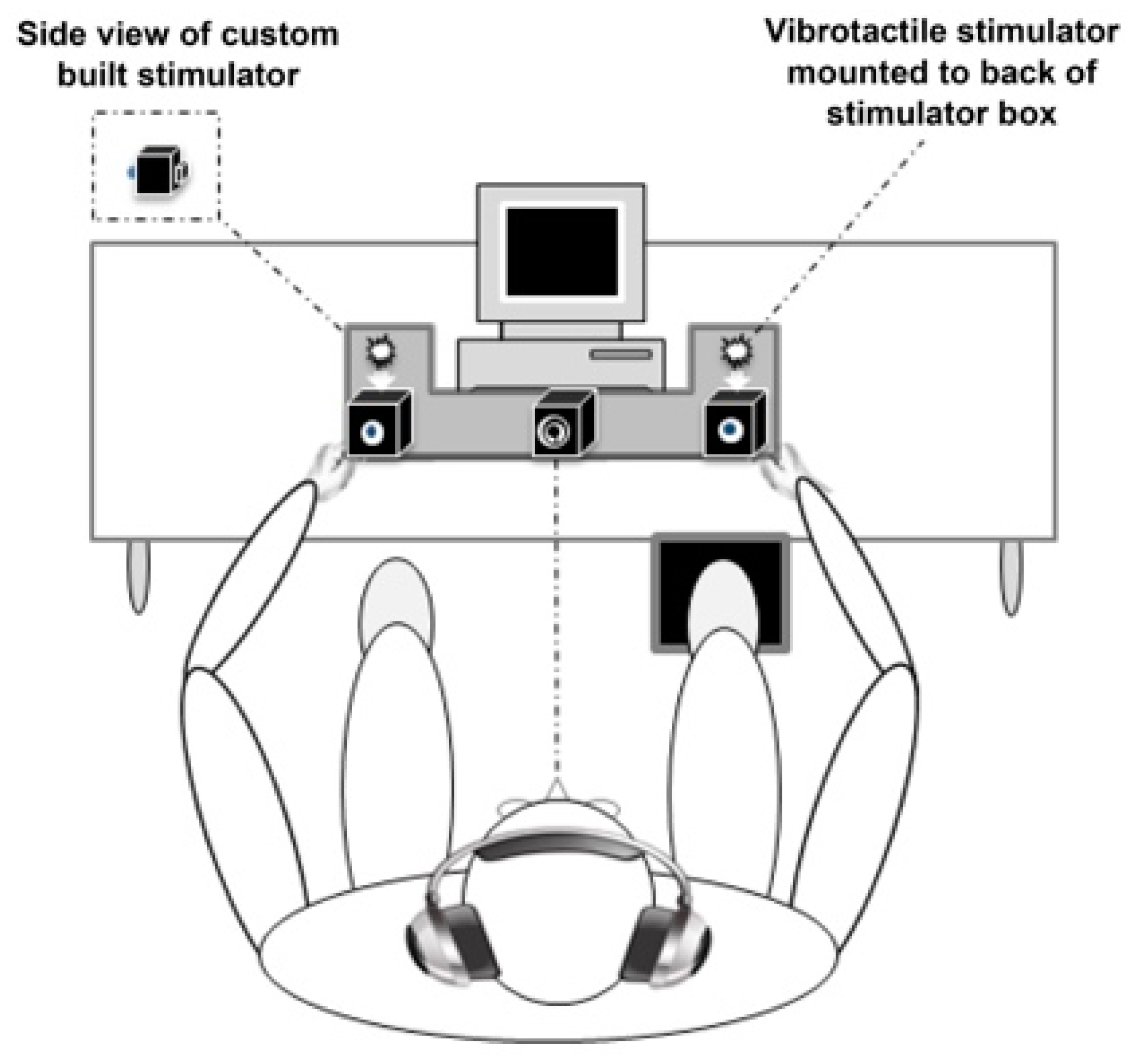 Brainsci 11 00285 g001