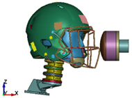 Brainsci 11 00287 i001