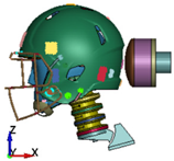 Brainsci 11 00287 i006