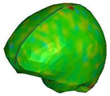 Brainsci 11 00287 i011