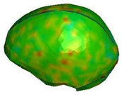 Brainsci 11 00287 i012